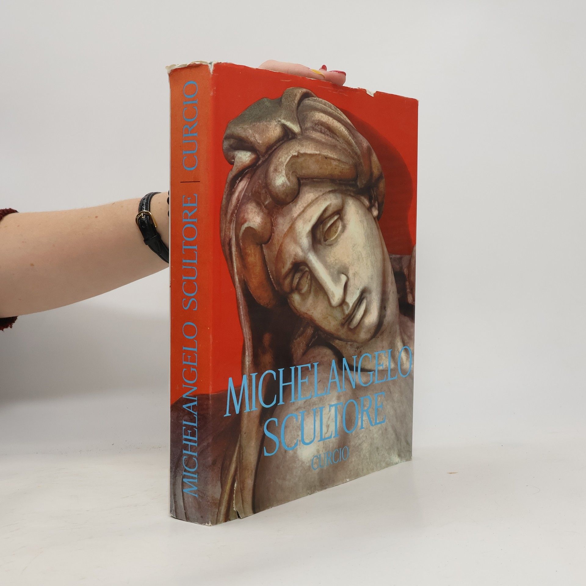 Autorenkollektiv Michelangelo scultore