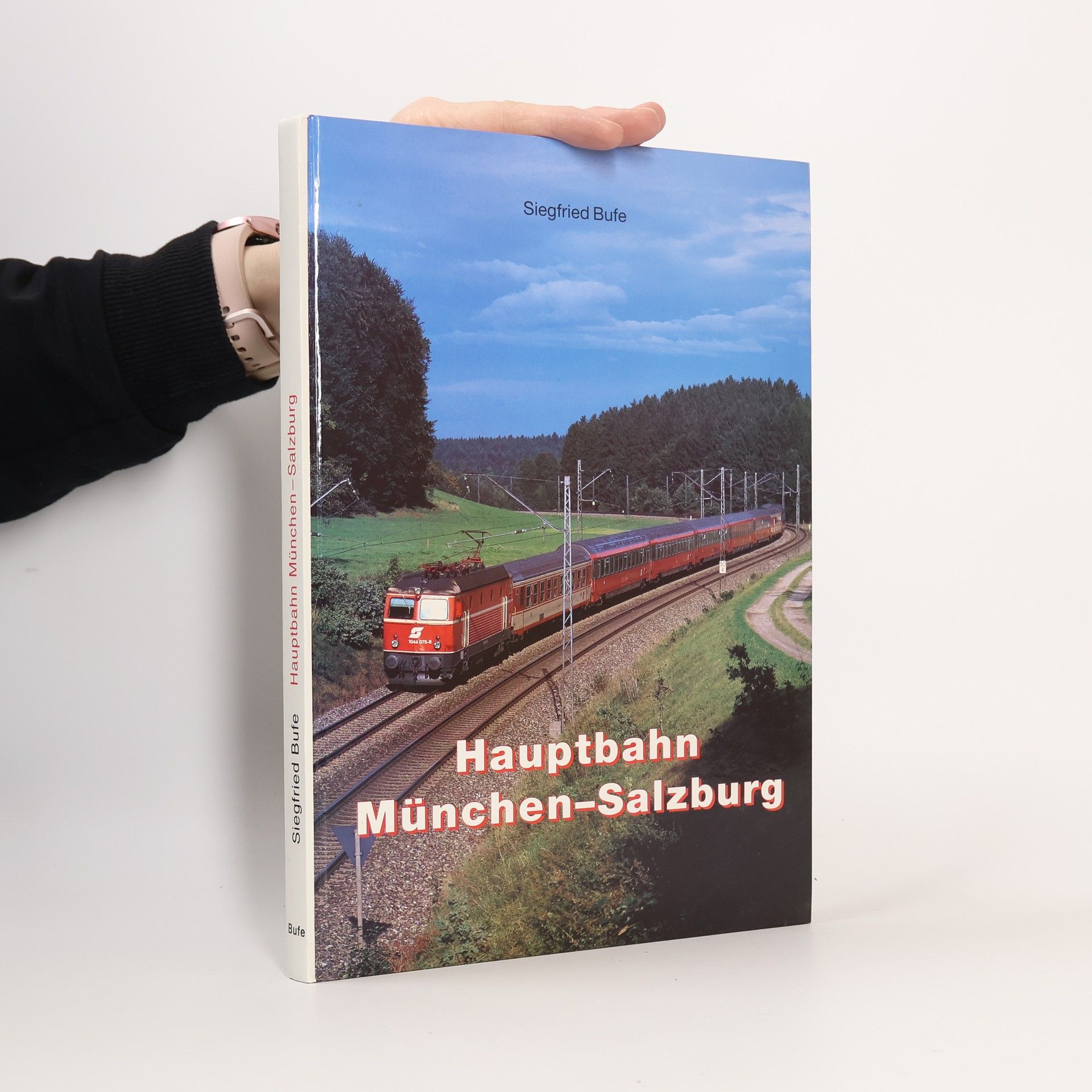Hauptbahn München - Salzburg