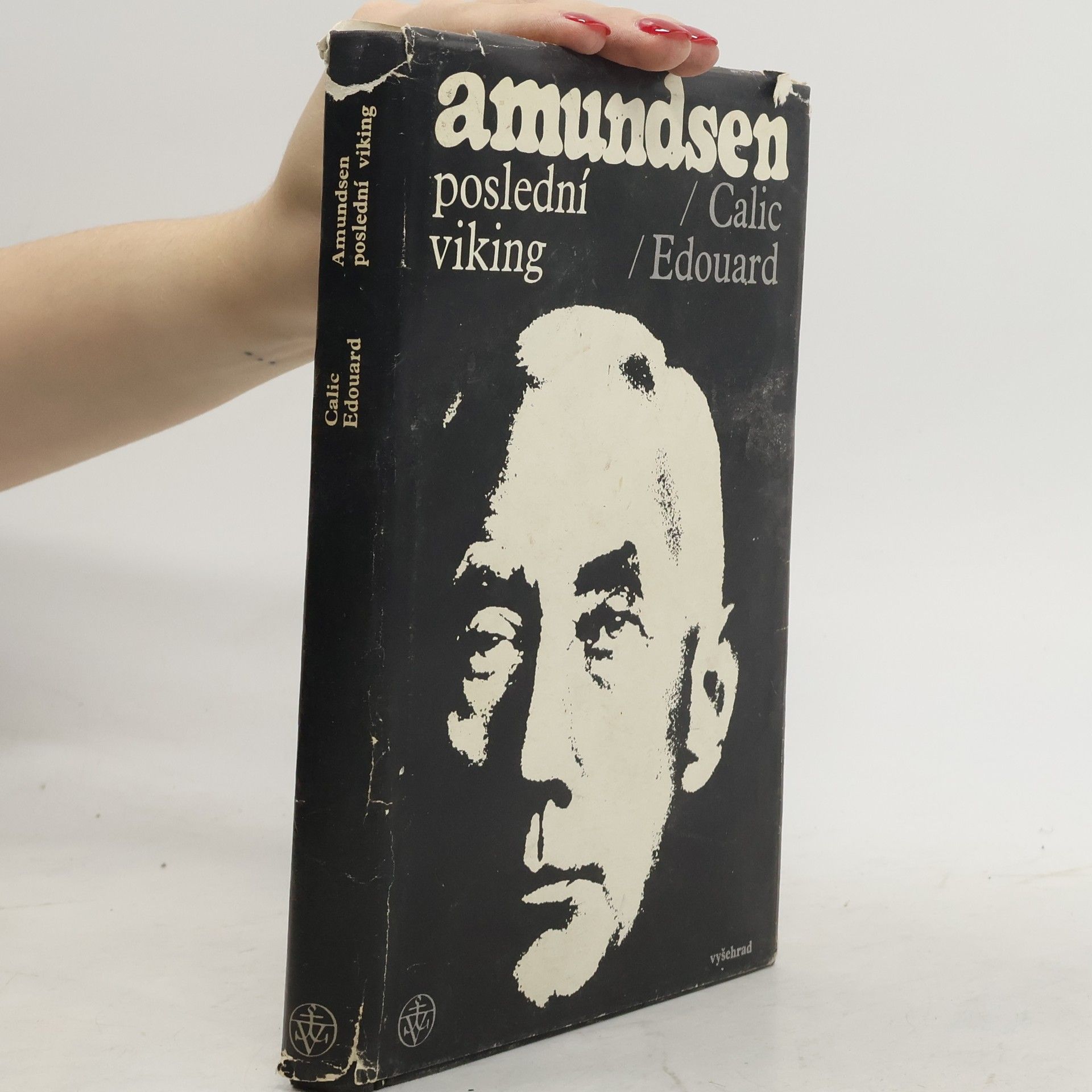 Amundsen. Poslední viking