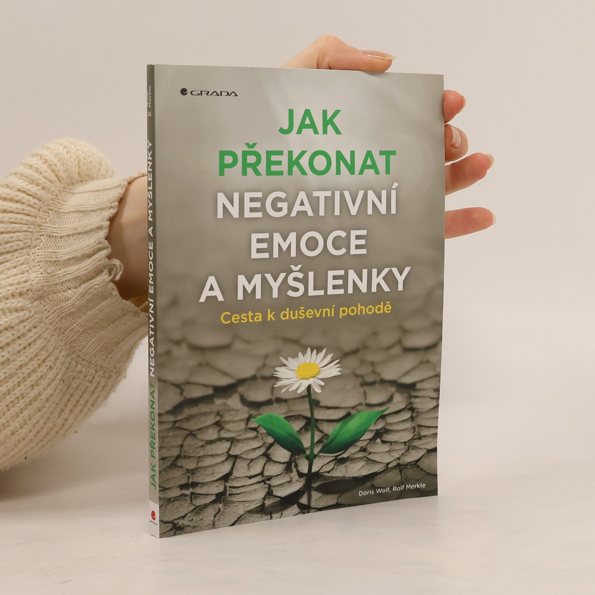 Jak překonat negativní emoce a myšlenky : cesta k duševní pohodě