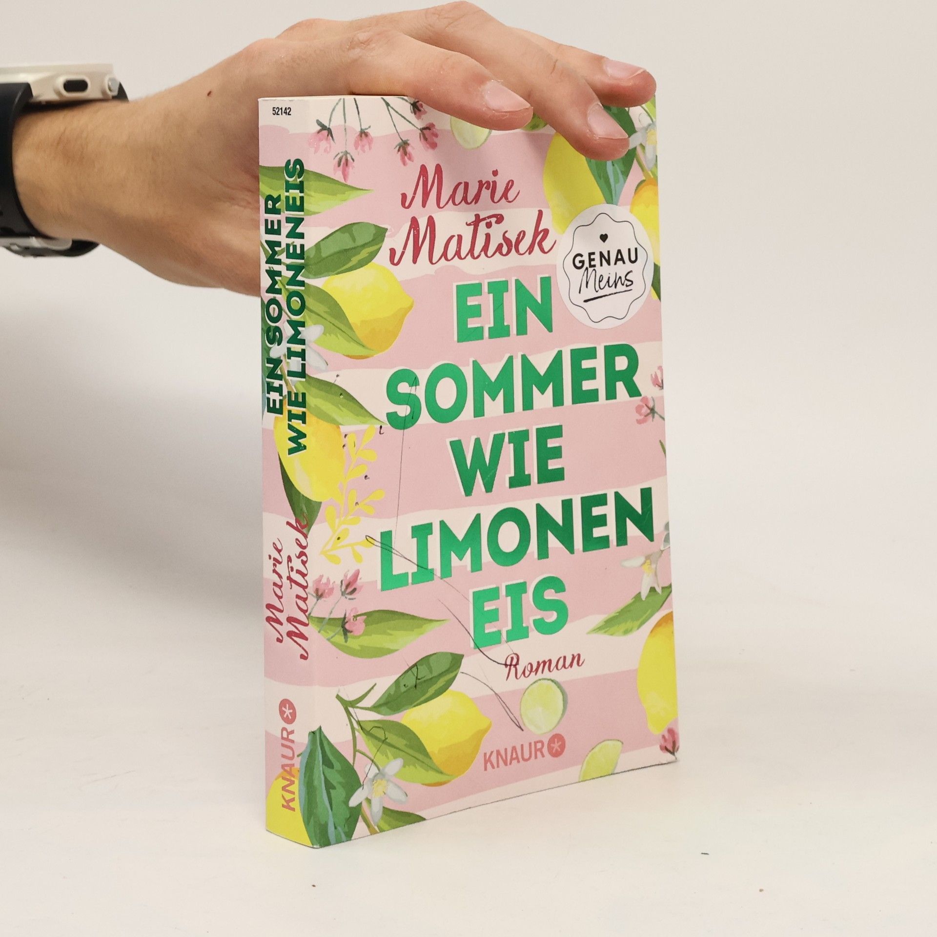 Marie Matisek Ein Sommer wie Limoneneis