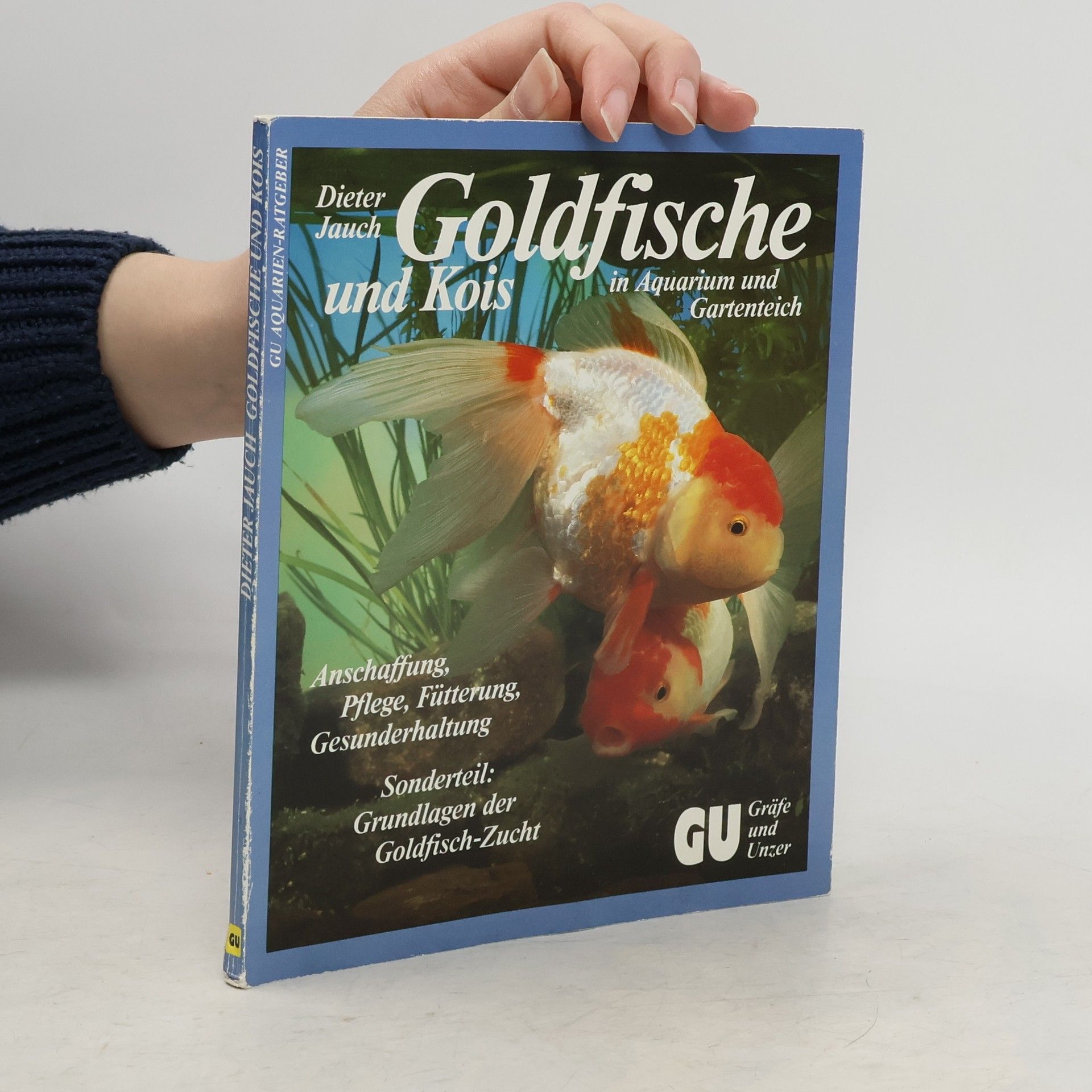 Goldfische und Kois in Aquarium und Gartenteich