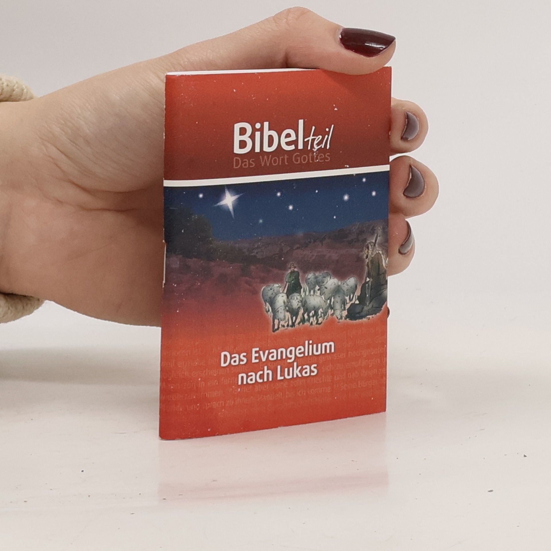 Autorenkollektiv Das Evangelium nach Lukas