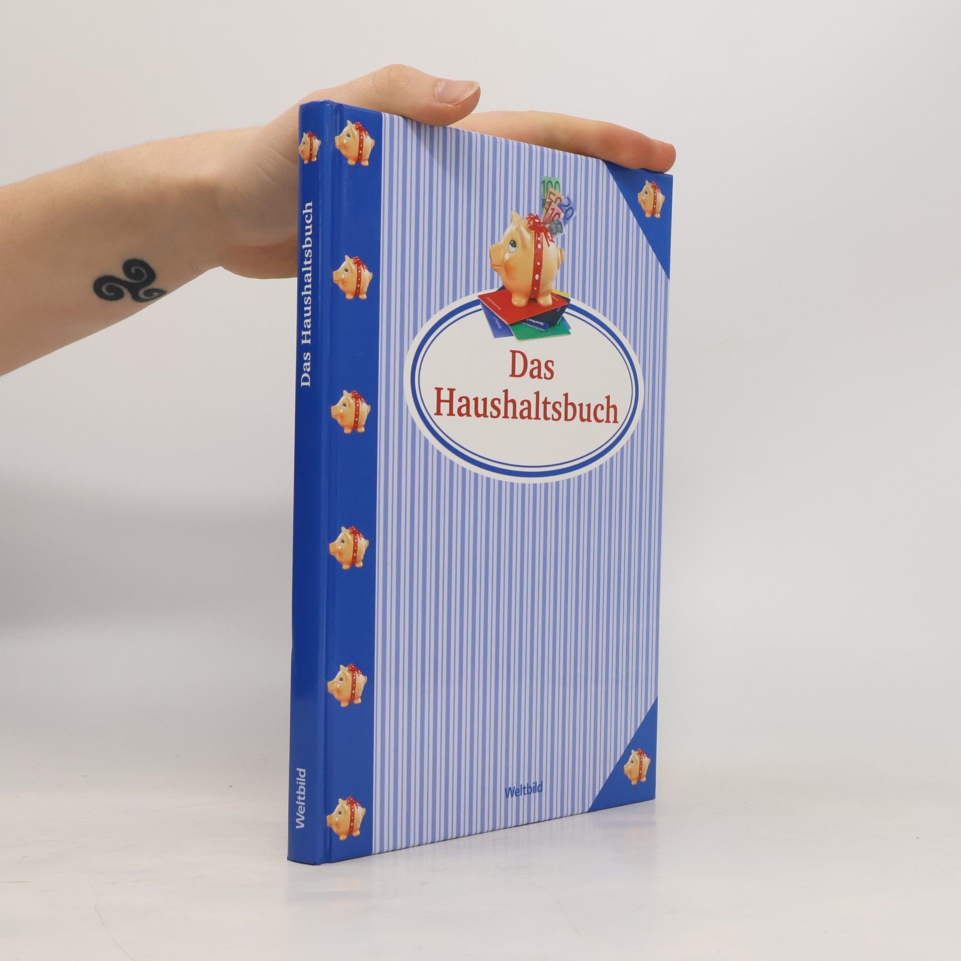 Kolektiv autorů Mein Haushaltsbuch