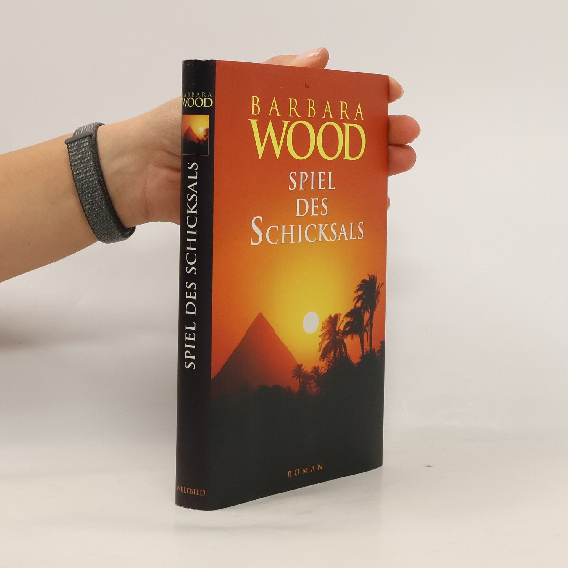 Barbara Wood Spiel des Schicksals