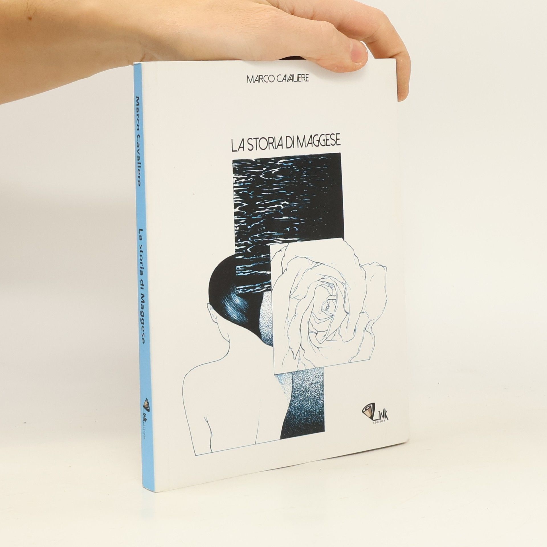 Marco Cavaliere La storia di Maggese