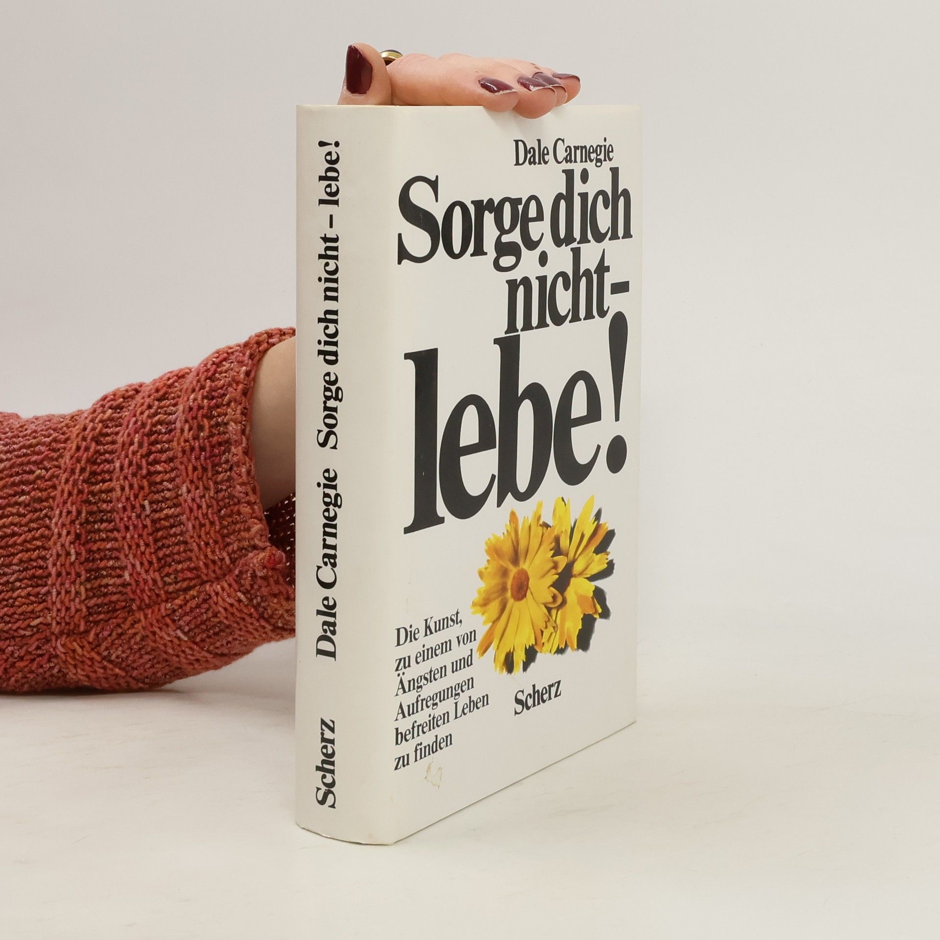 Dale Carnegie Sorge dich nicht - lebe!