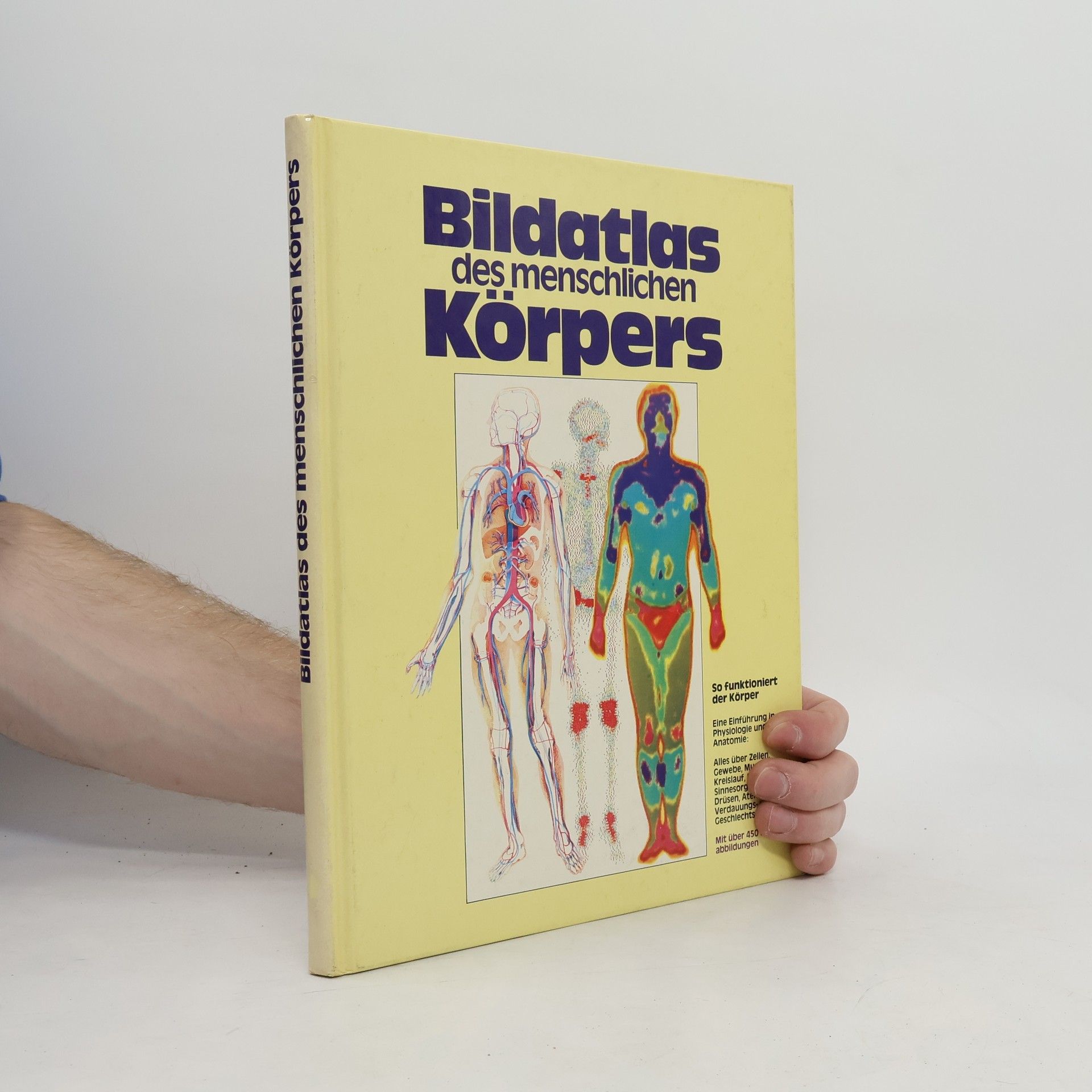 Vanio Vannini Bildatlas des menschlichen Körpers