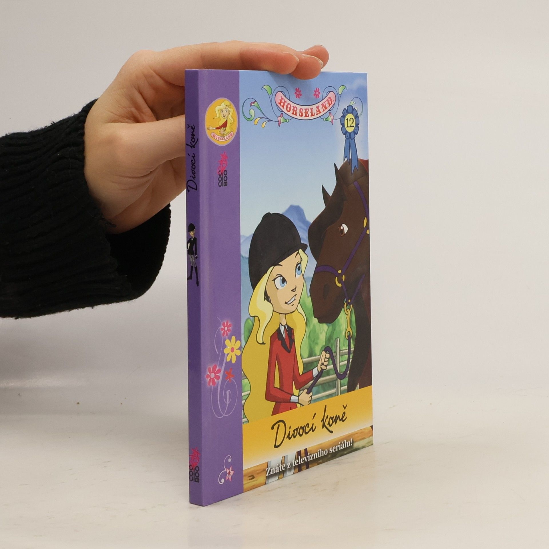 Michal Kolezsar Divocí koně