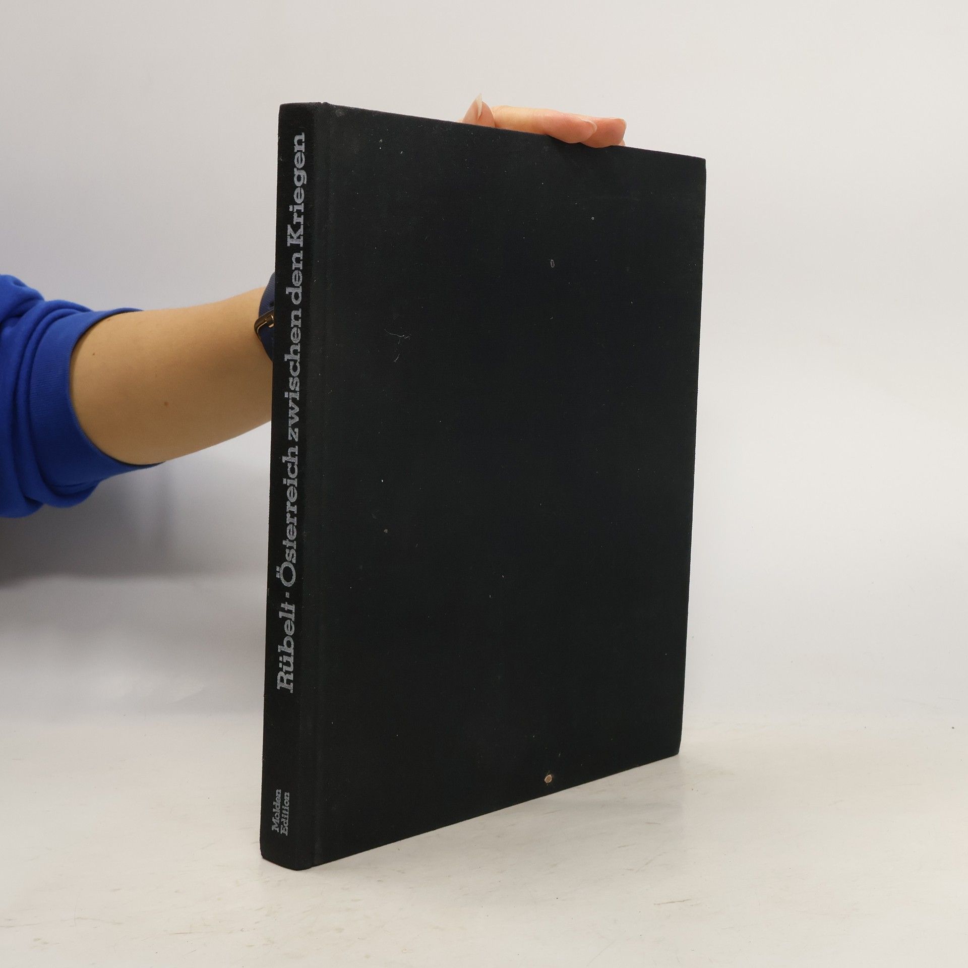 Österreich zwischen den Kriegen