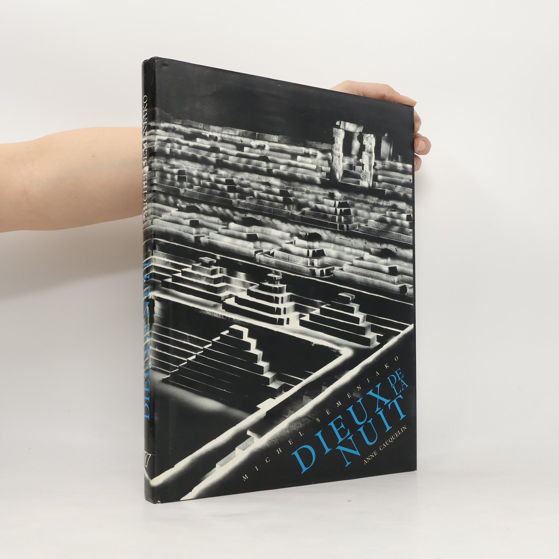 Michel Séméniako Dieux de la Nuit