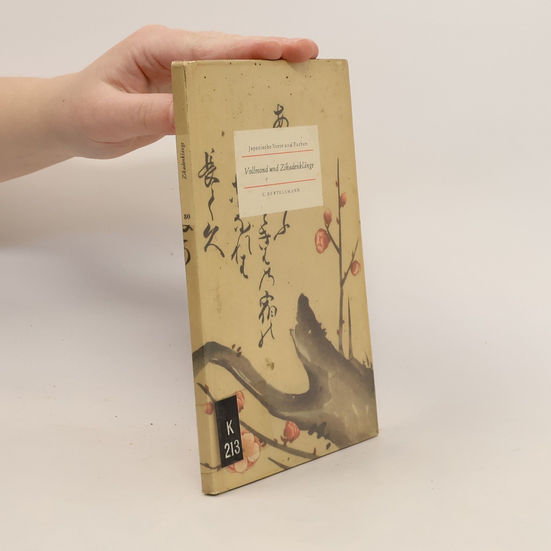 Autorenkollektiv Vollmond und Zikadenklänge