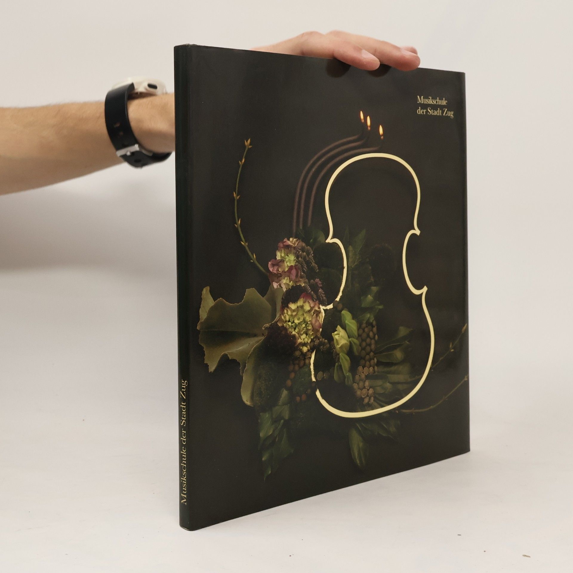 Collectif d'auteurs Musikschule der Stadt Zug