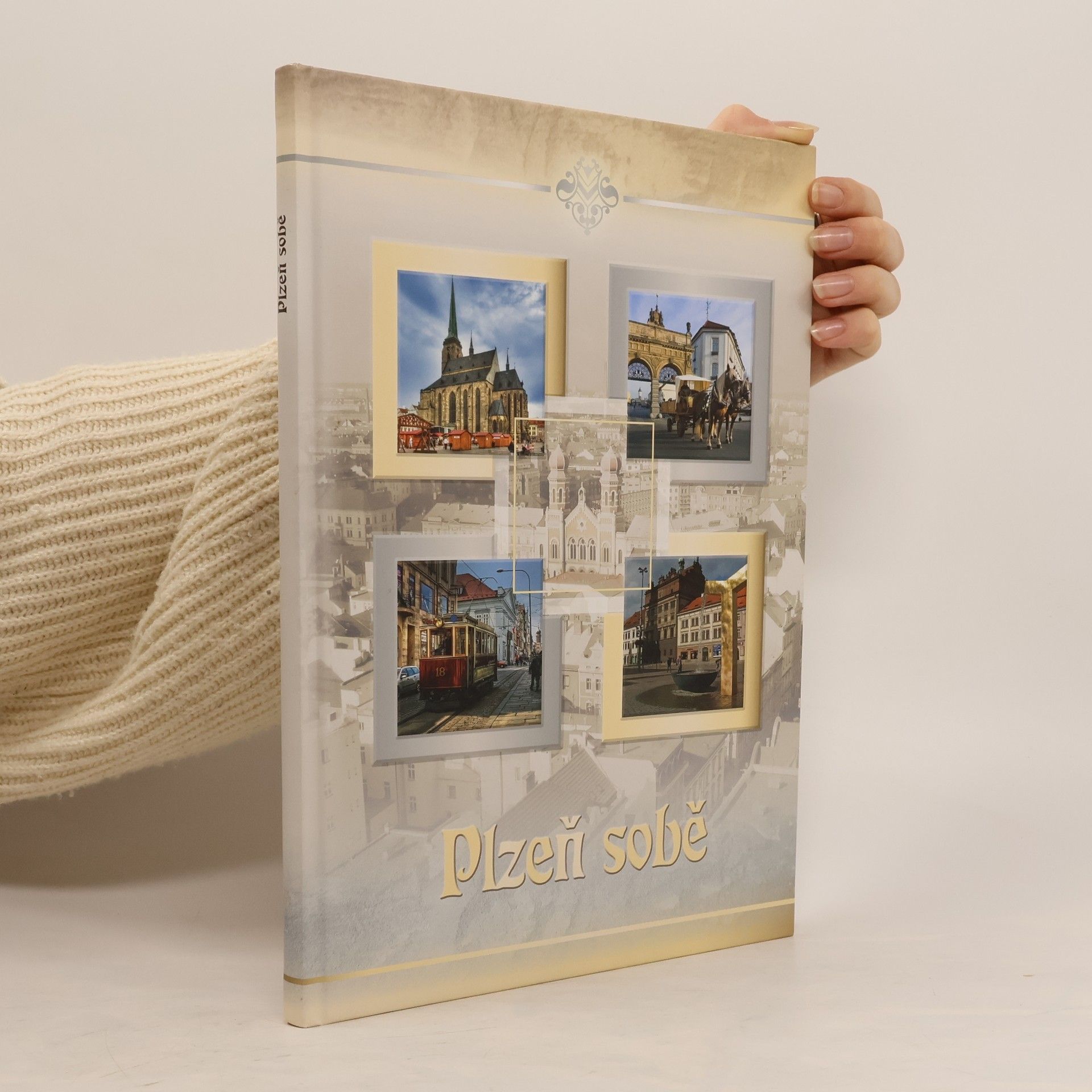 Jana Procházková Plzeň sobě