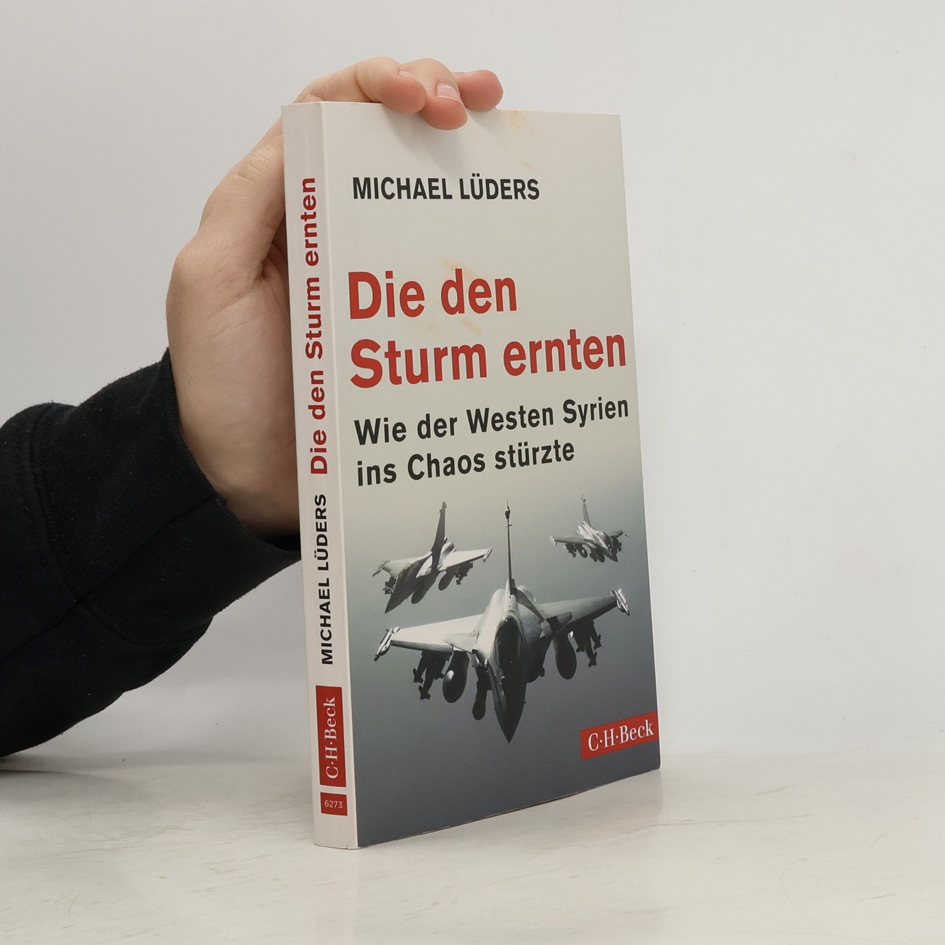 Michael Lüders Die den Sturm ernten