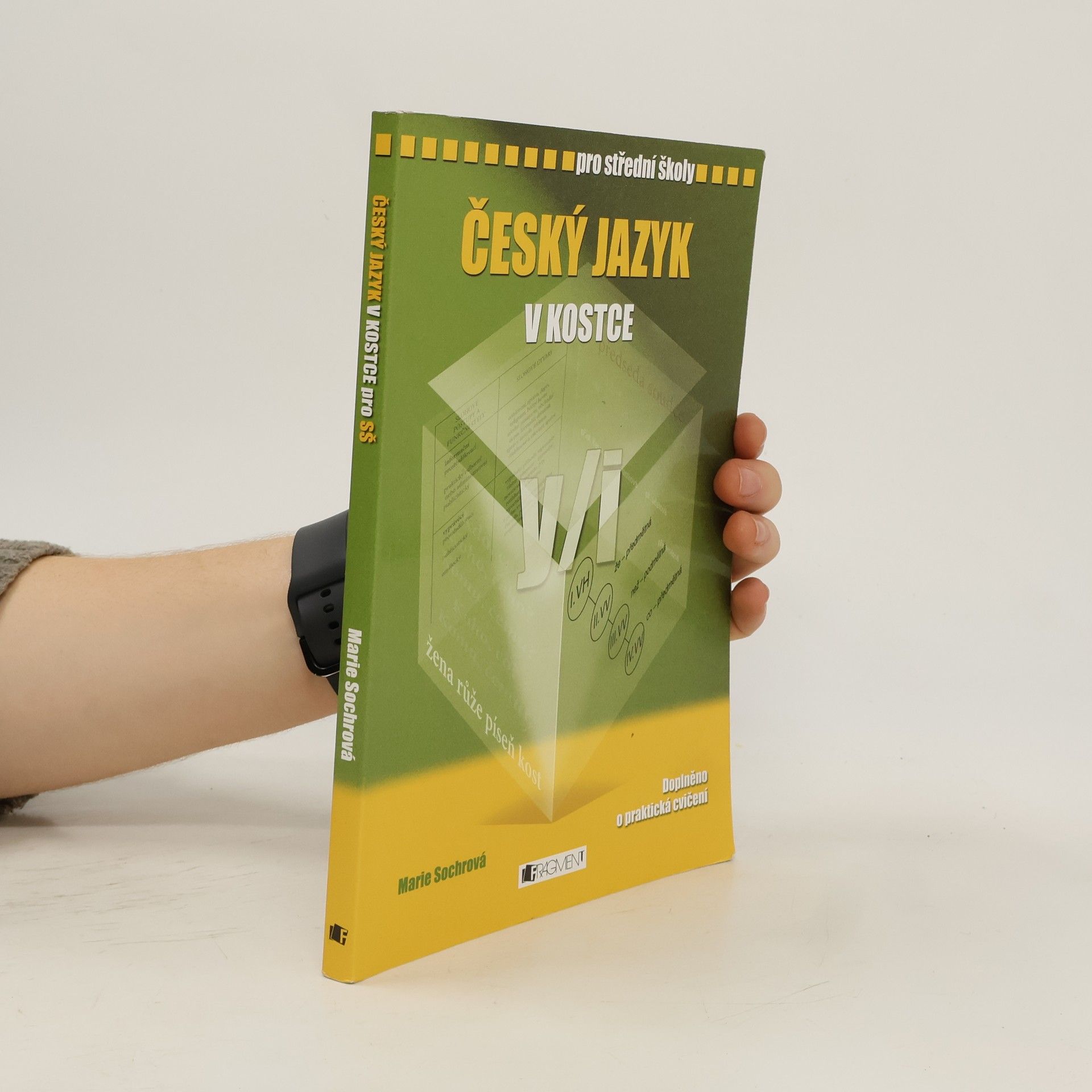 Marie Sochrová Český jazyk v kostce : pro střední školy