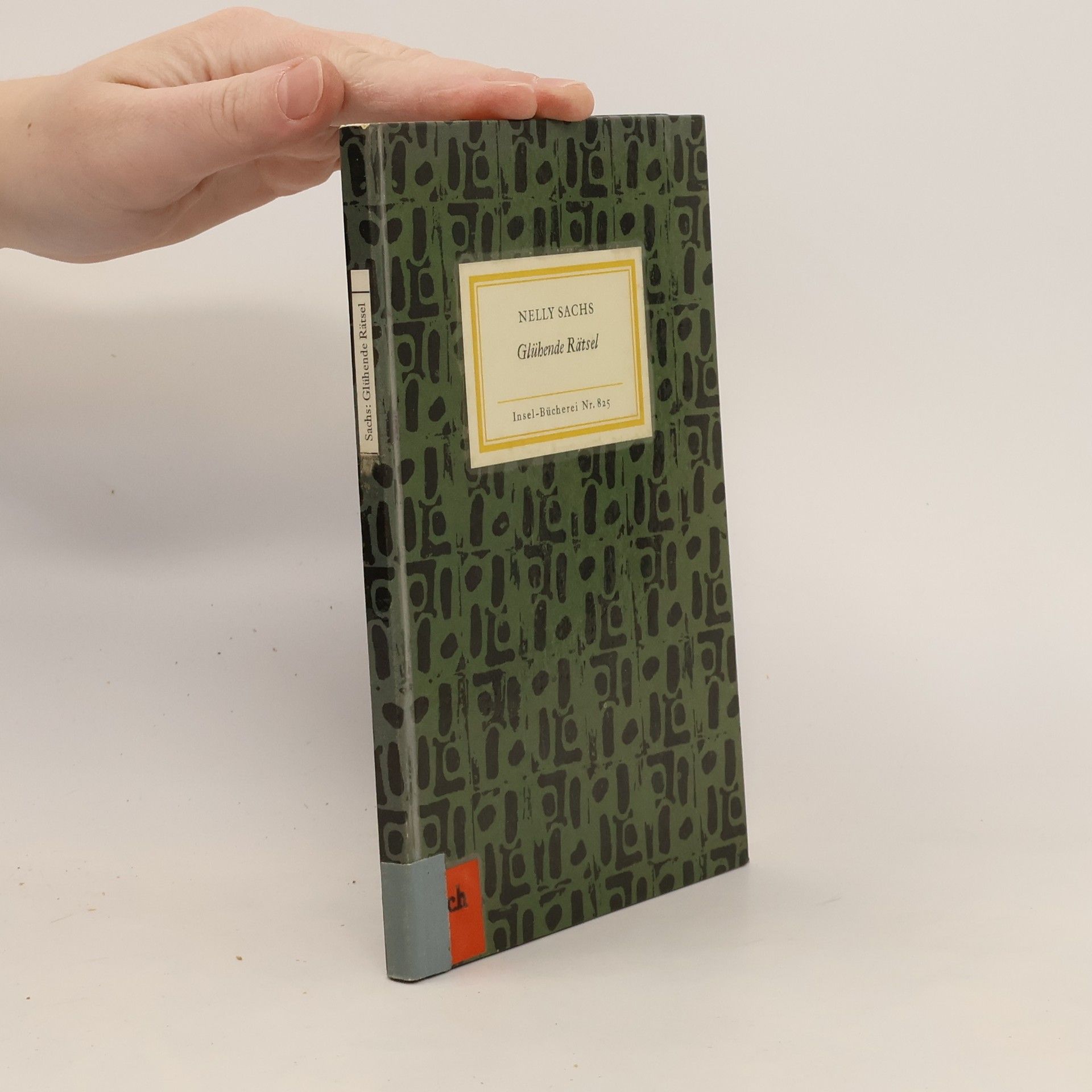 Nelly Sachs Glühende Rätsel