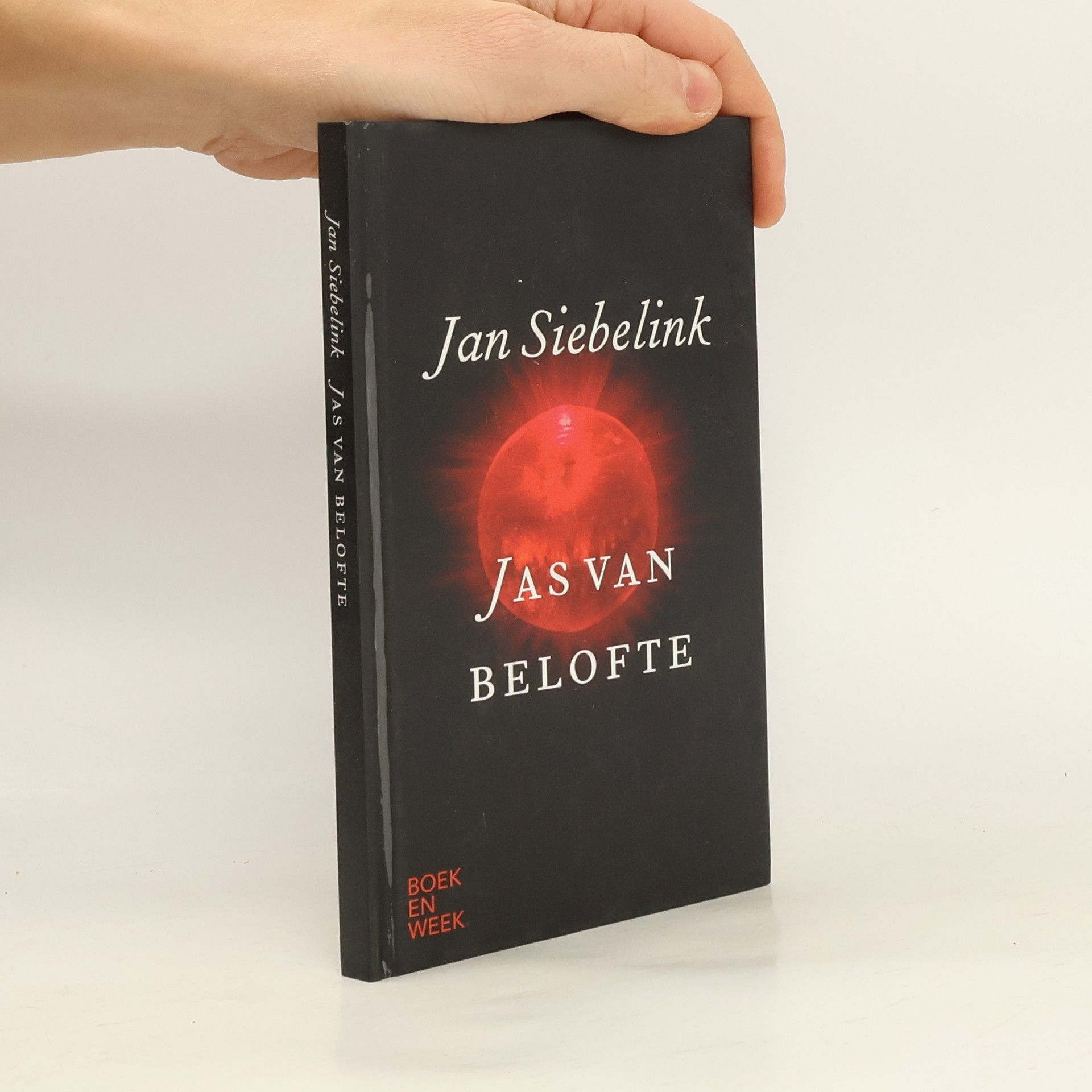 Jan Geurt Siebelink Jas van belofte