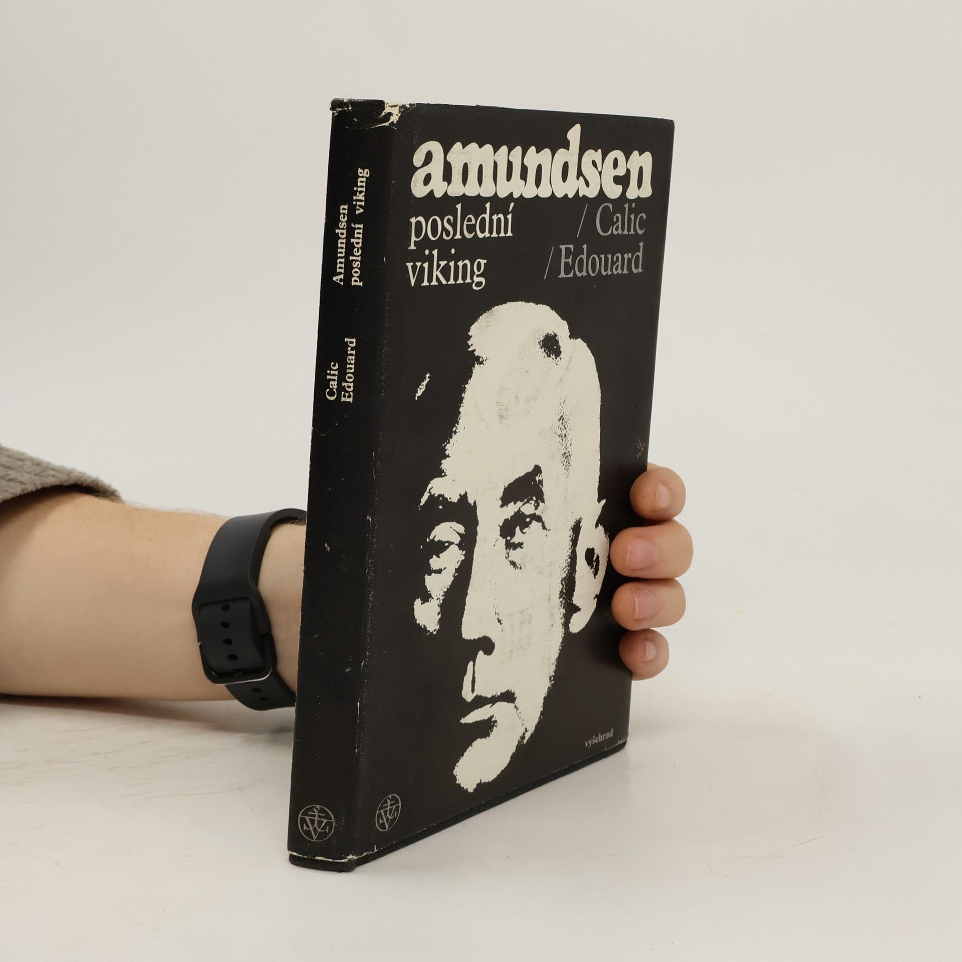 Amundsen. Poslední viking