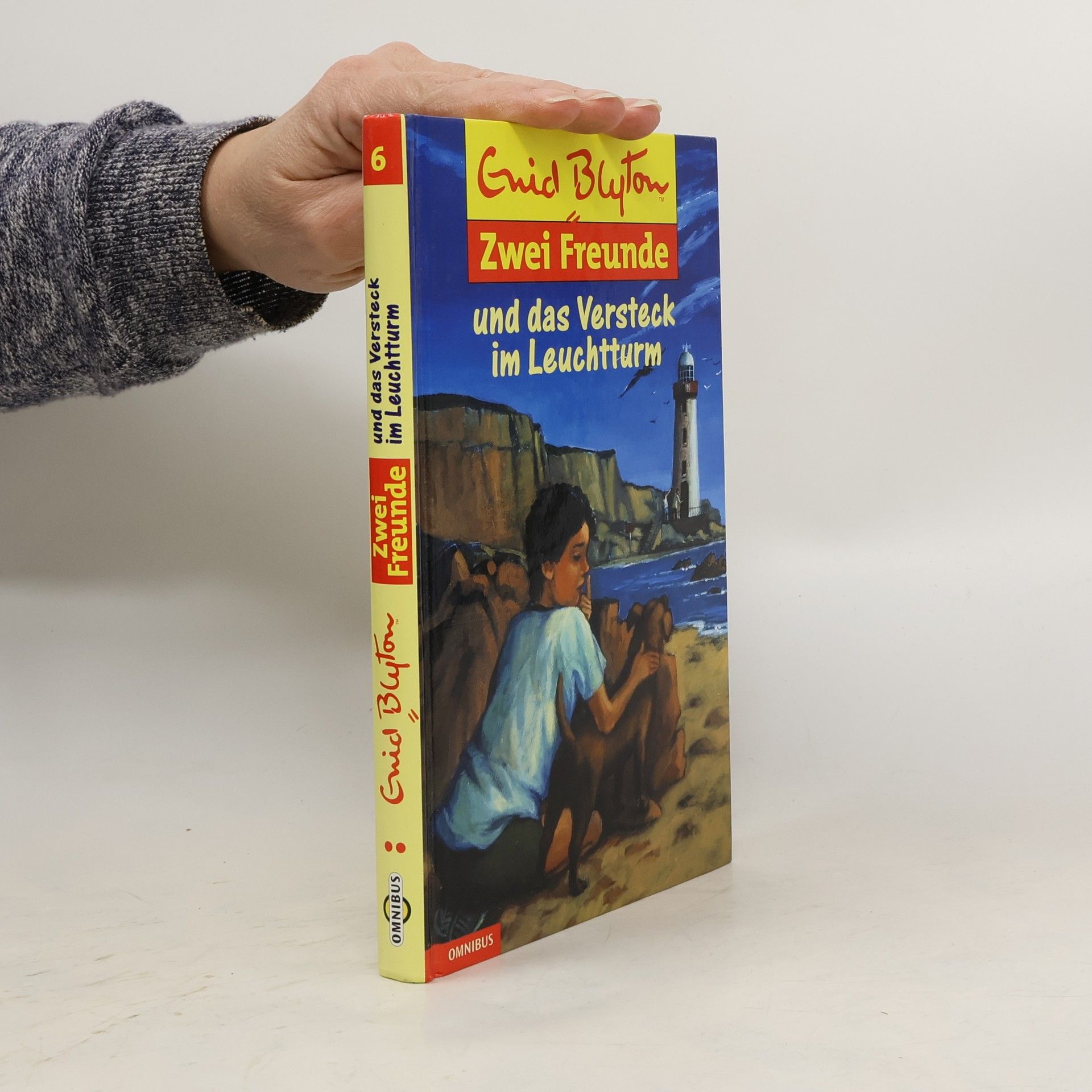 Enid Blyton Zwei Freunde und das Versteck im Leuchtturm