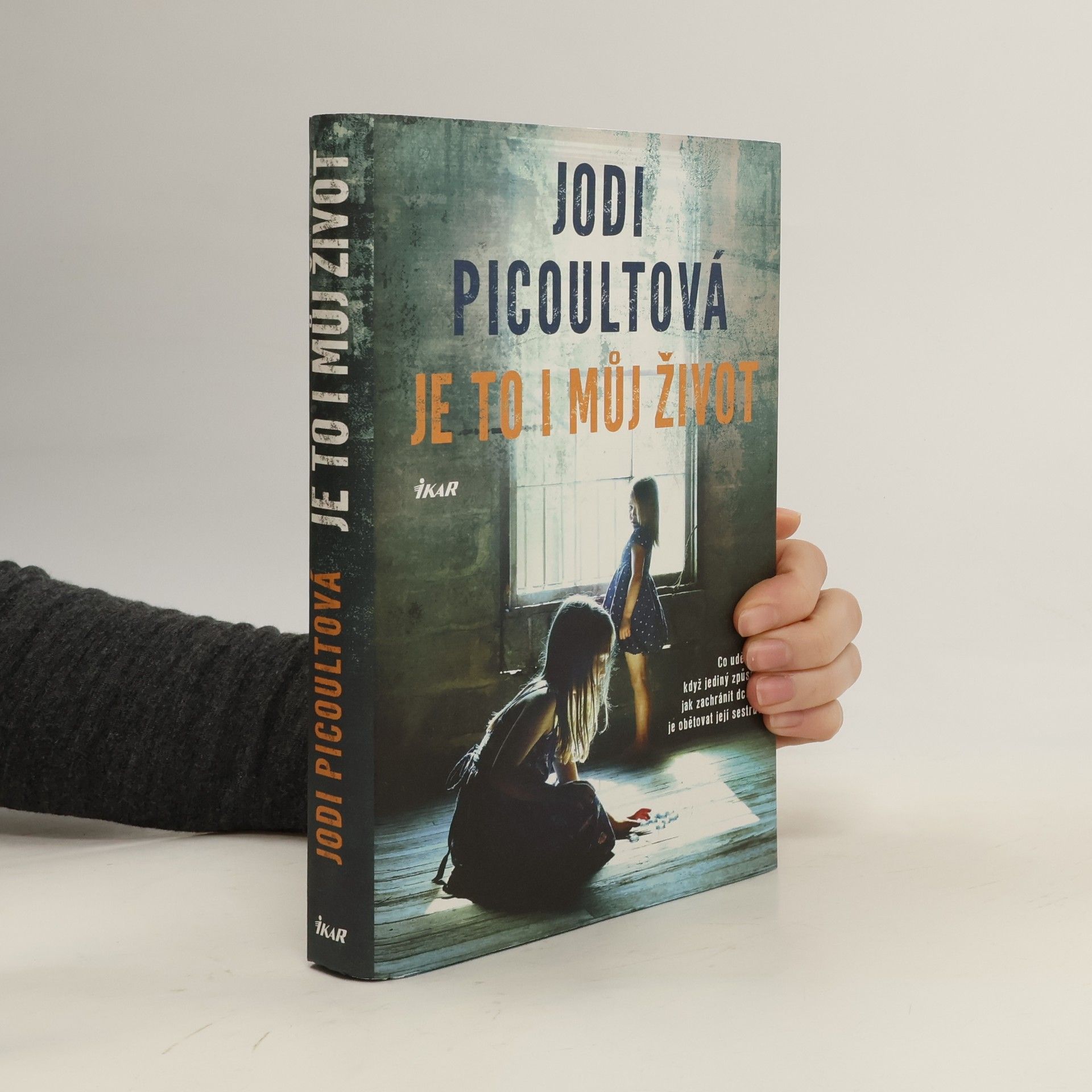 Jodi Picoult Je to i můj život
