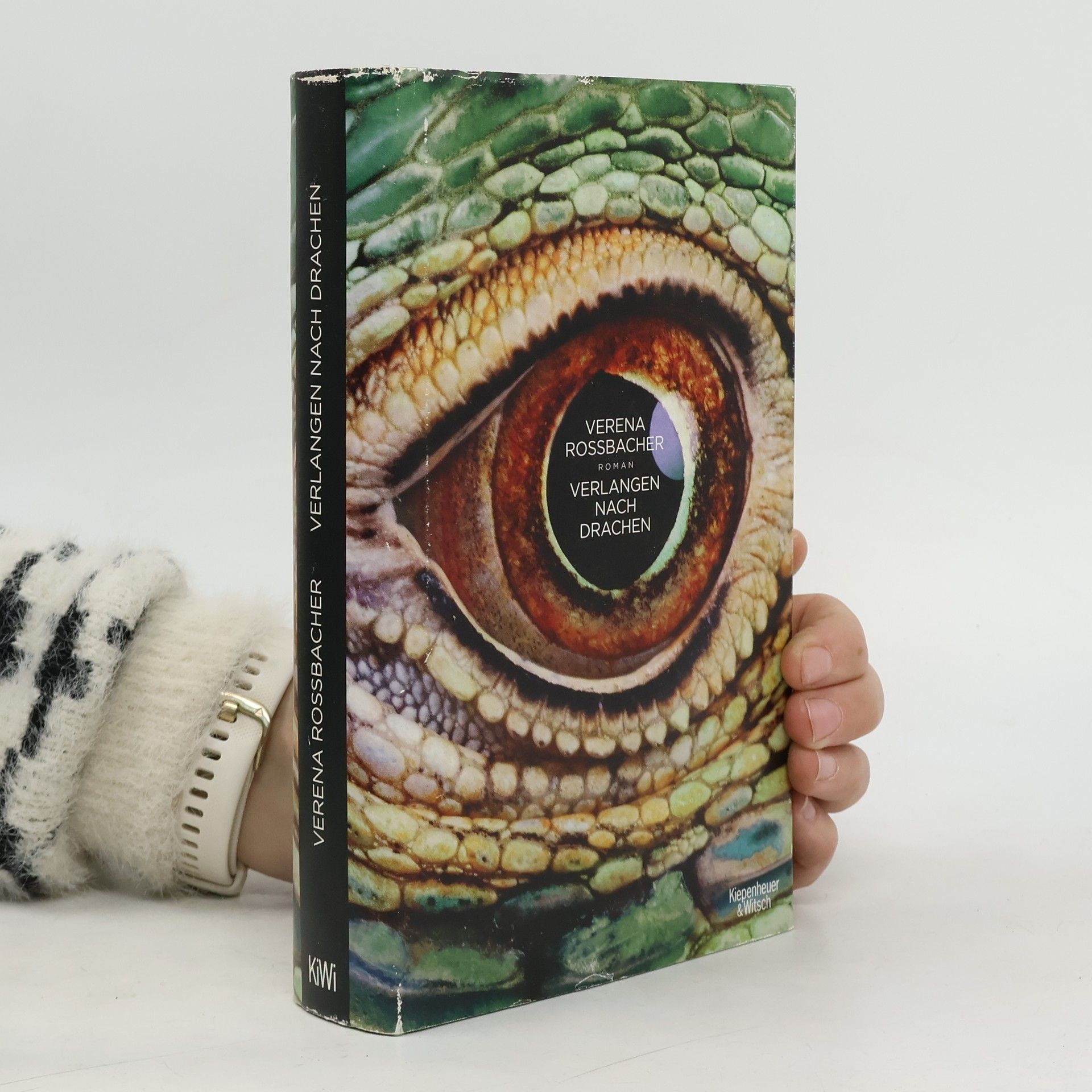 Verlangen nach Drachen