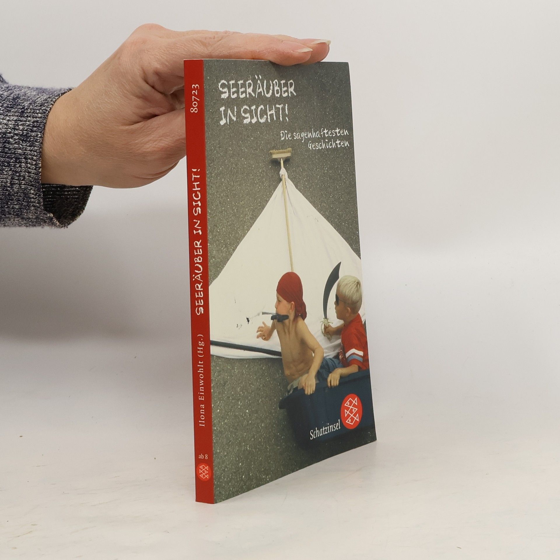 Ilona Einwohlt Seeräuber in Sicht!