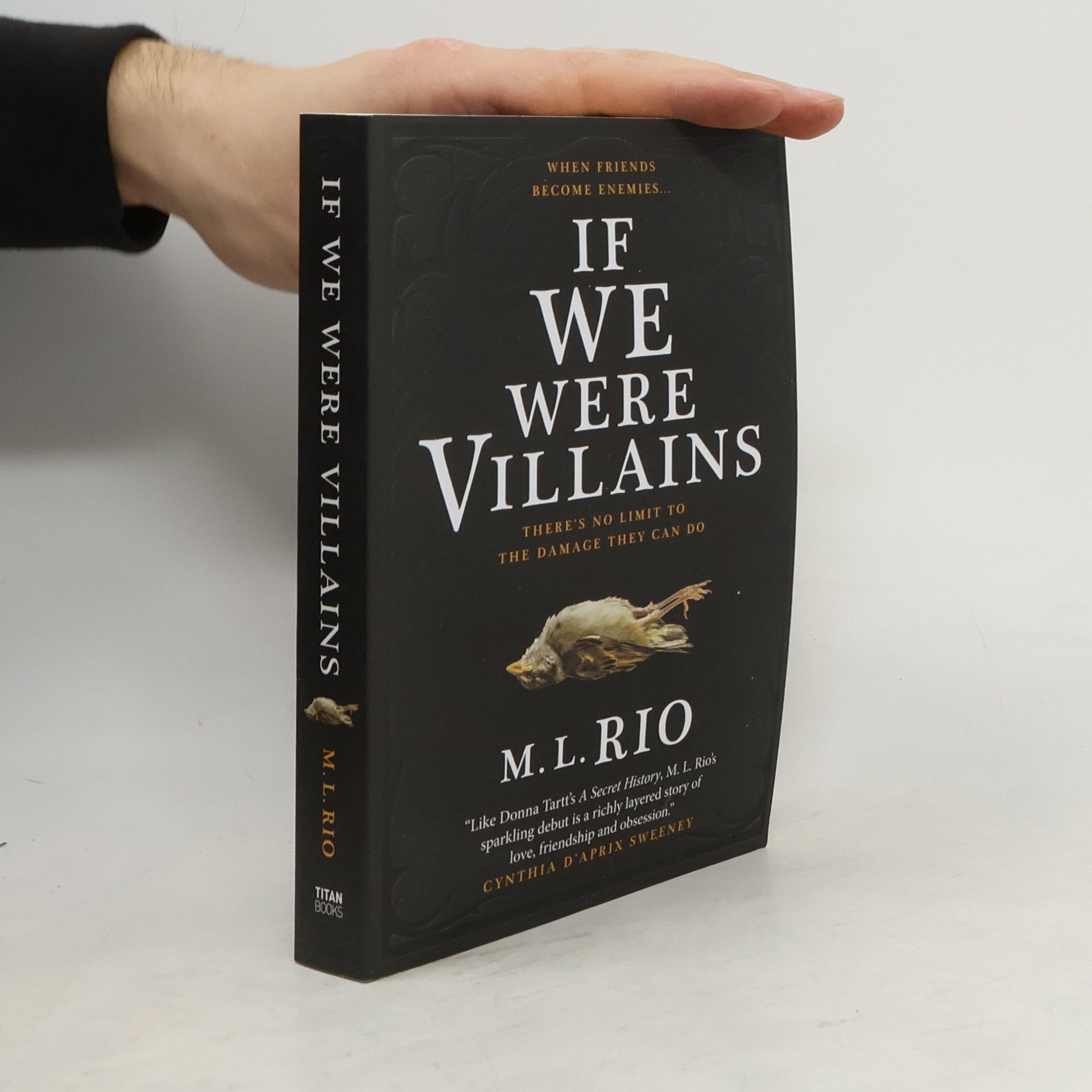M. L. Rio If We Were Villains