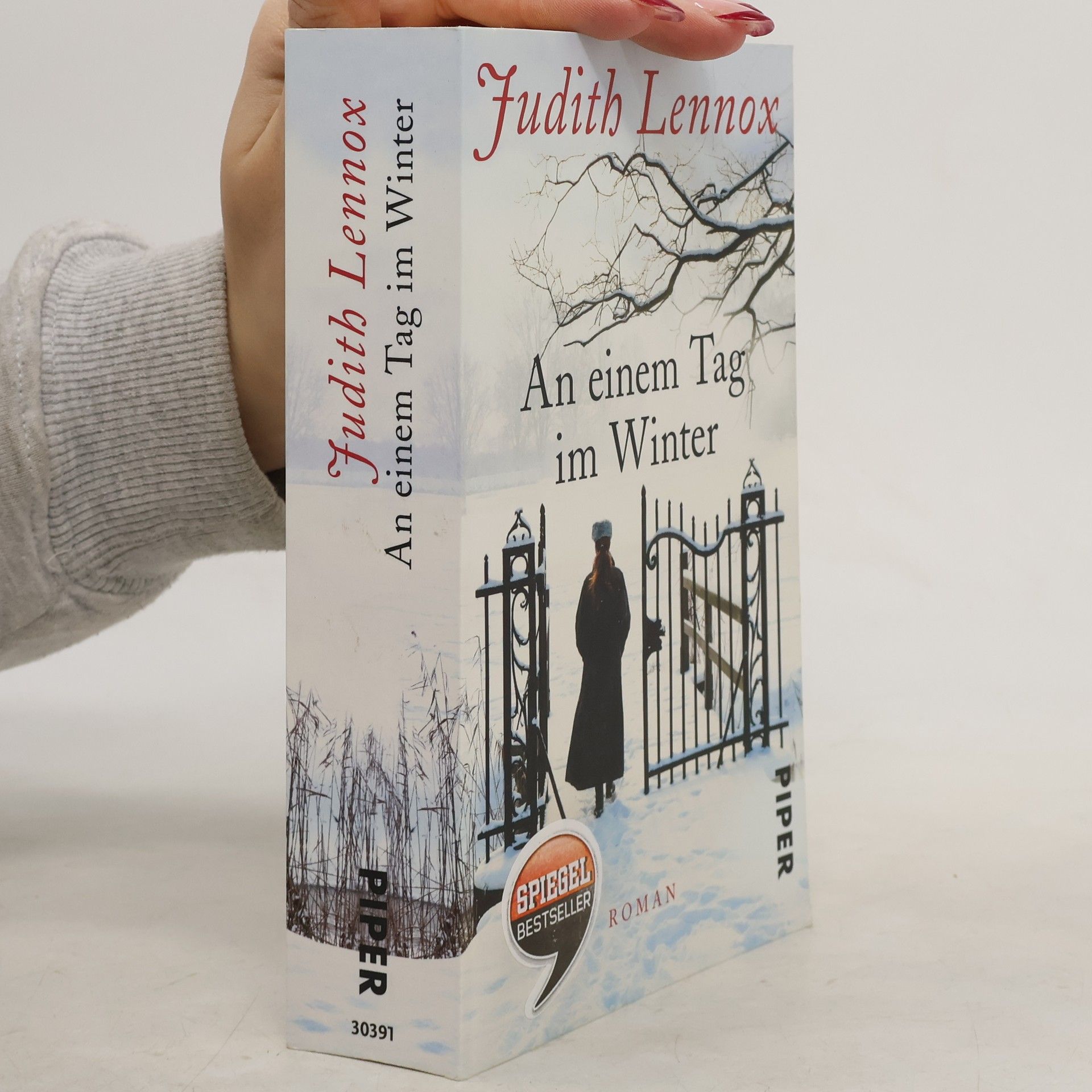 Judith Lennox An einem Tag im Winter