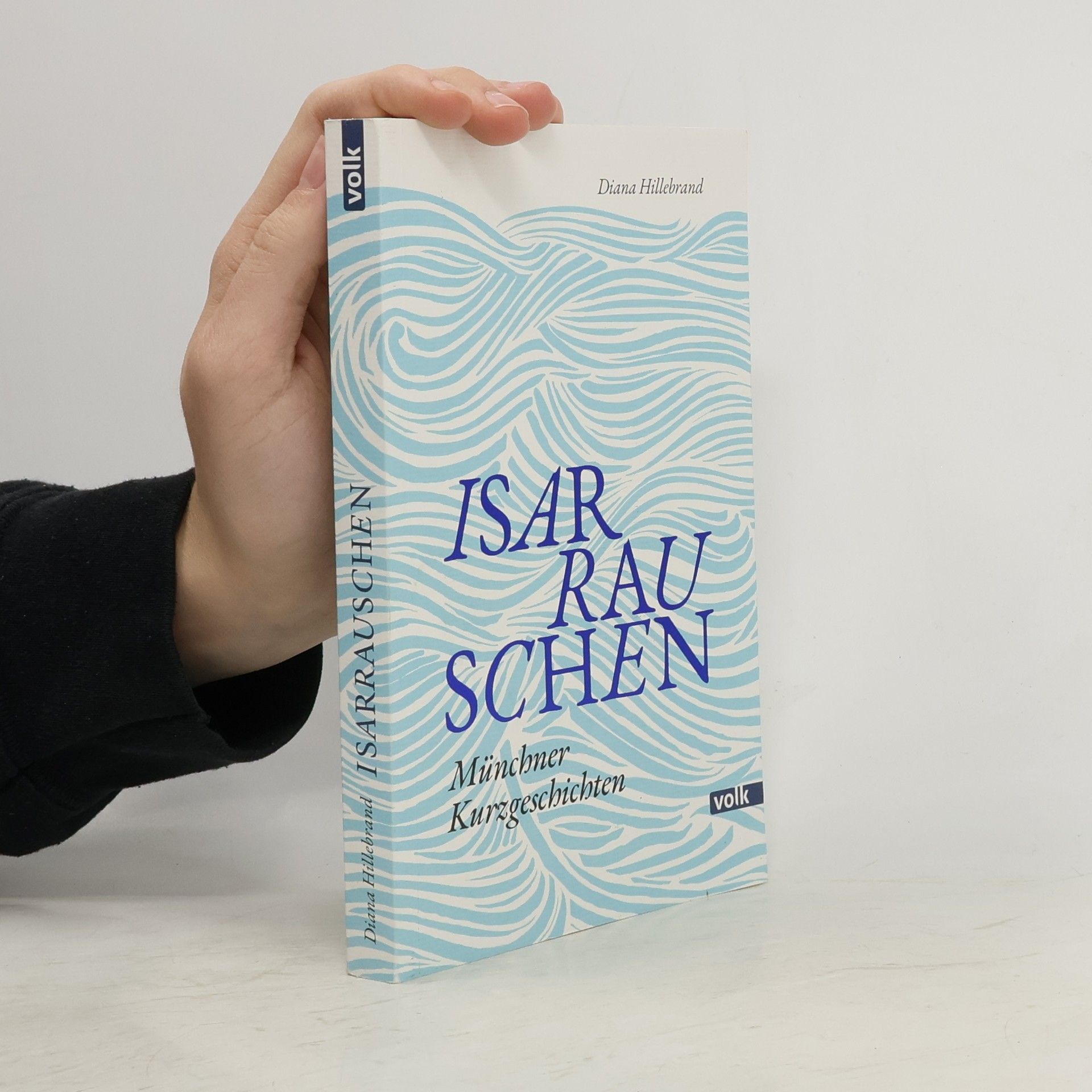 Diana Hillebrand Isarrauschen