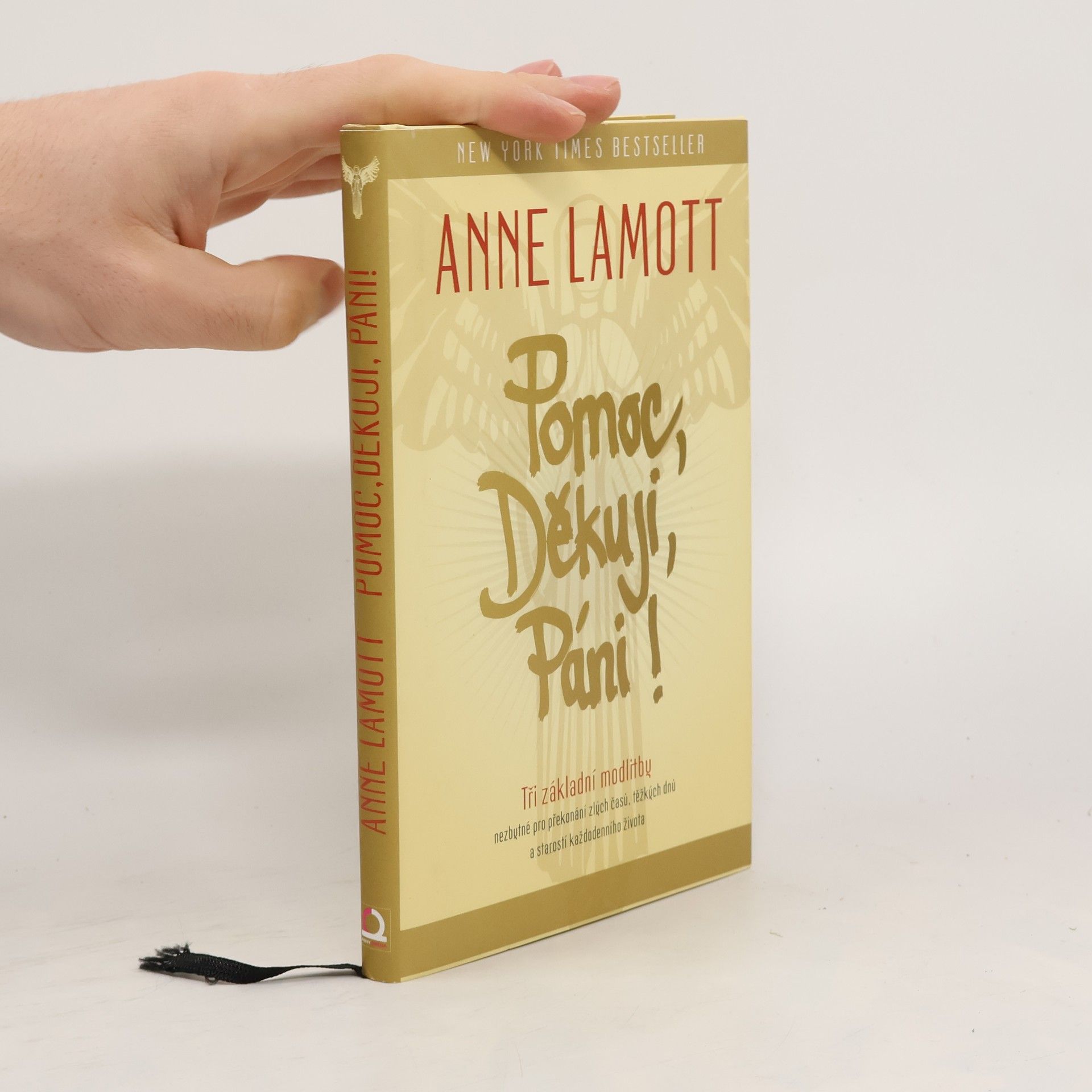Anne Lamott Pomoc, Děkuji, Páni!