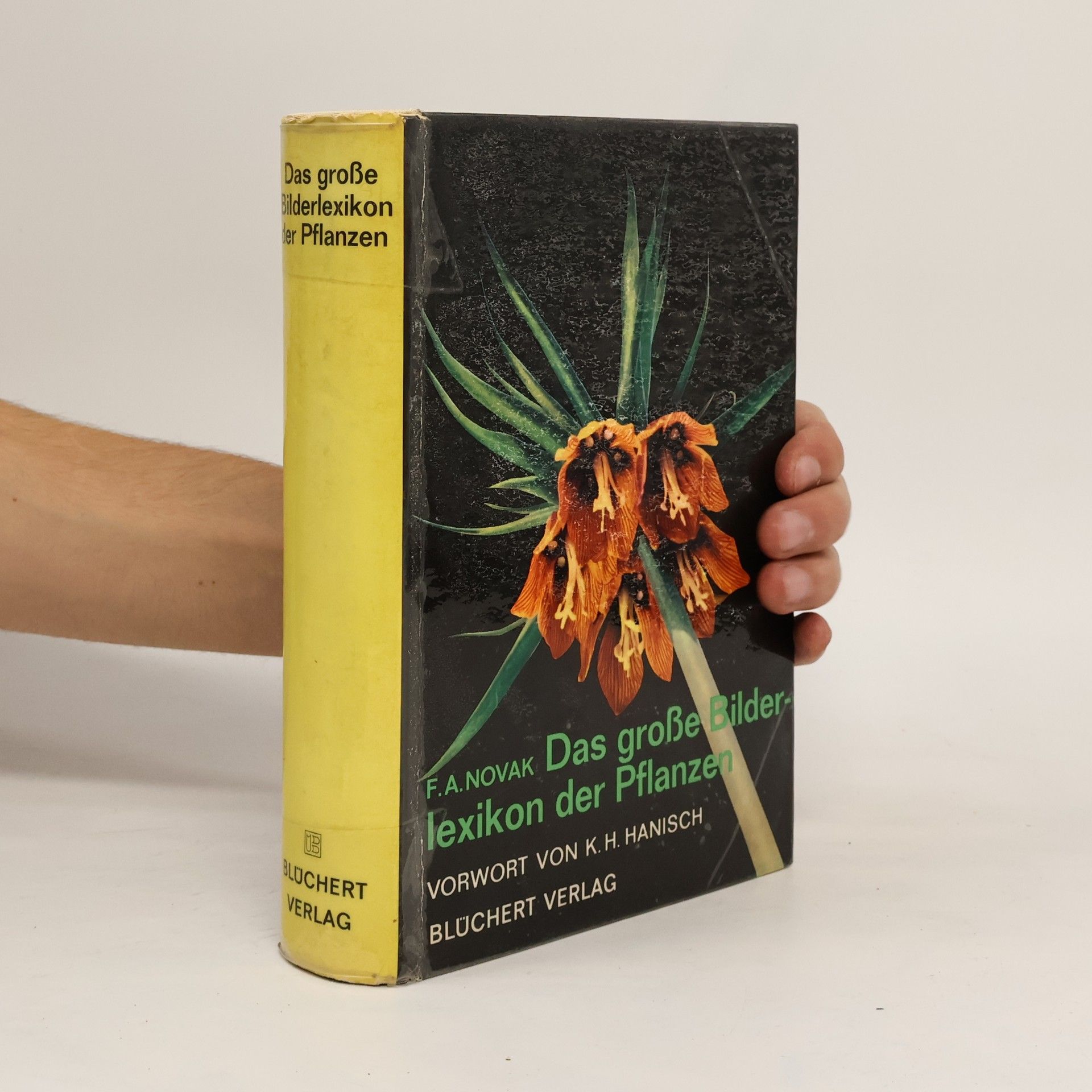 Das grosse Bilderlexikon der Pflanzen
