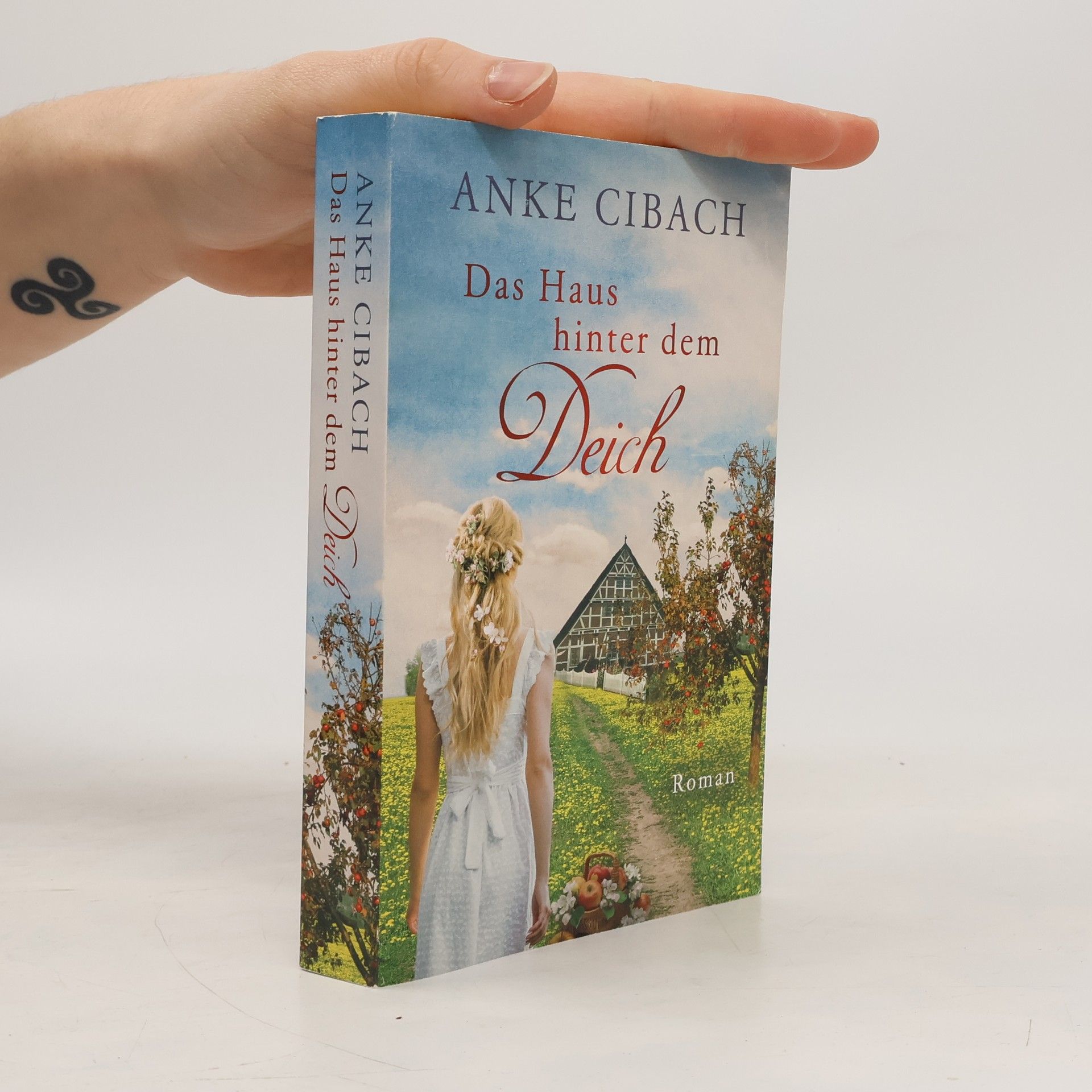 Das Haus hinter dem Deich