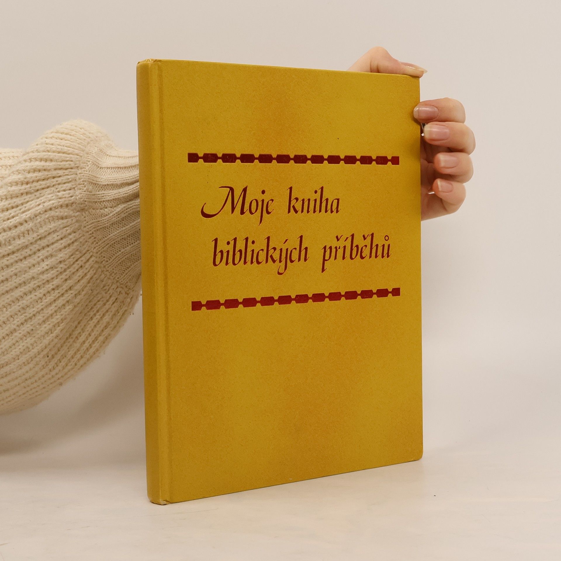 Kolektiv autorů Moje kniha biblických příběhů