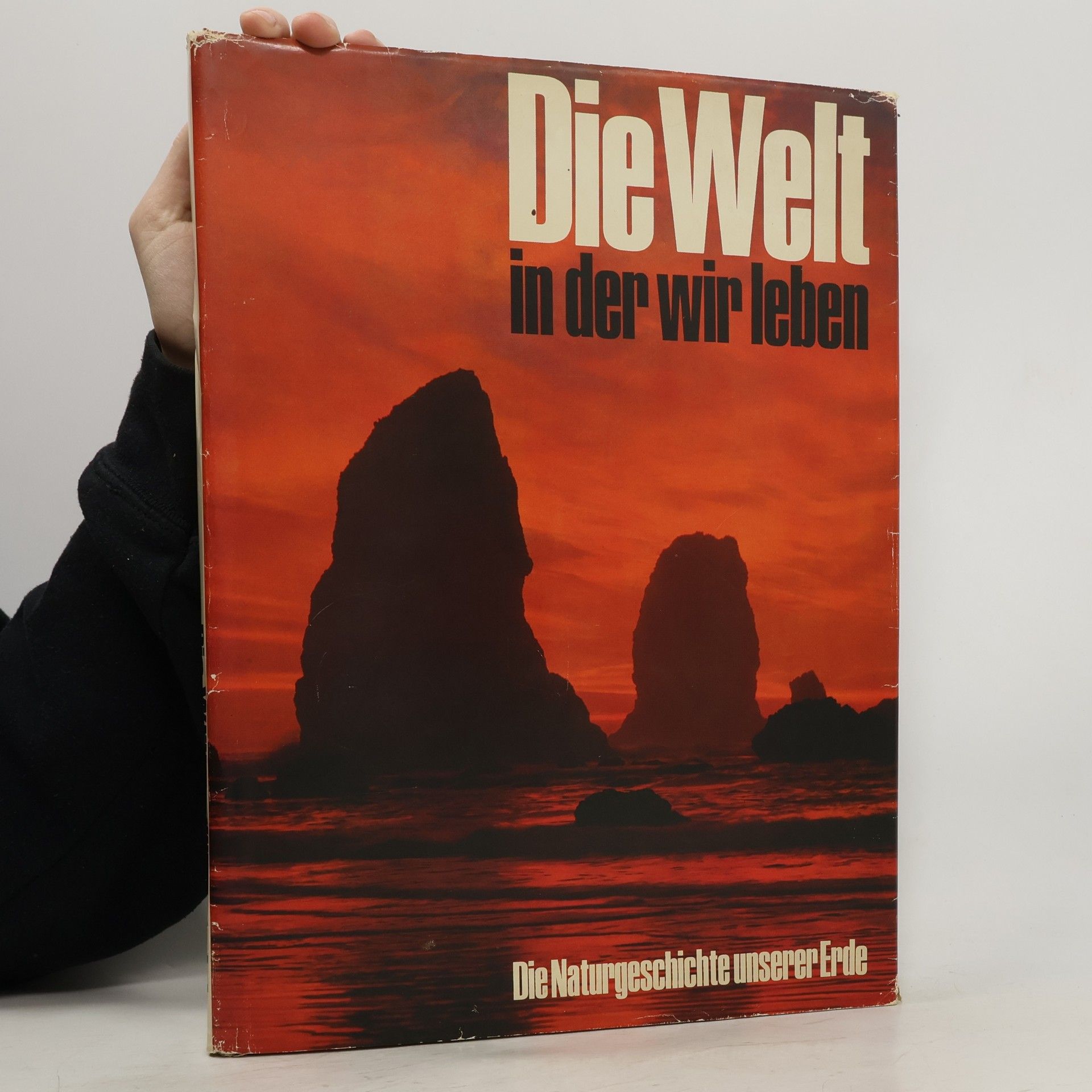 Autores varios Die Welt in der wir leben