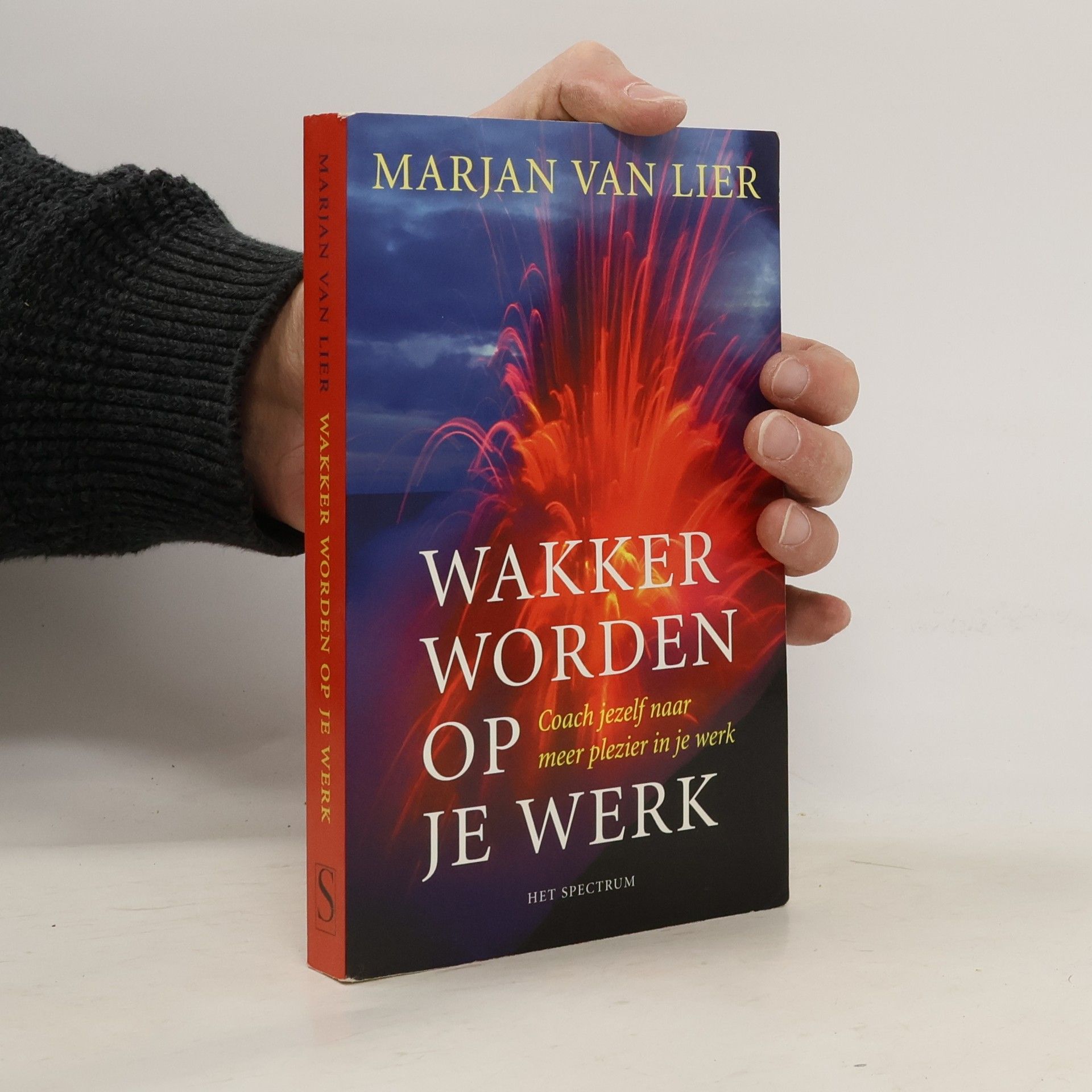 Marjan van Lier Wakker worden op je werk