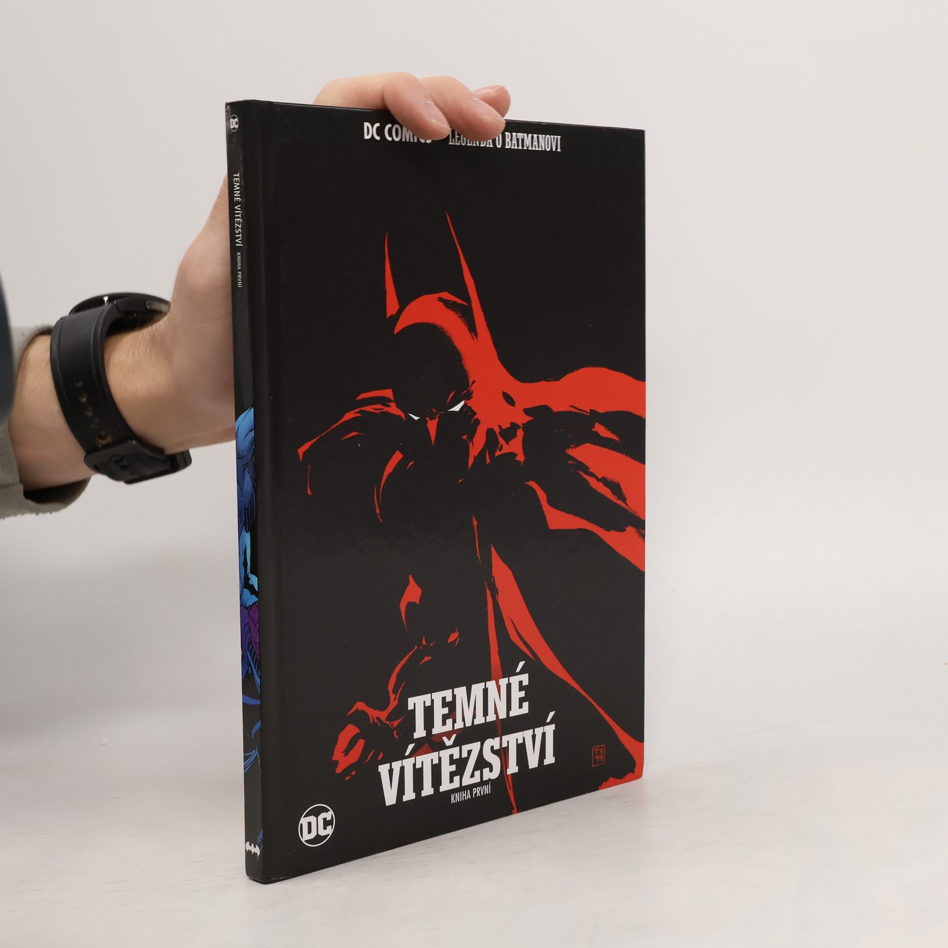 Tim Sale Jeph Loeb Batman: Temné vítězství. Kniha první