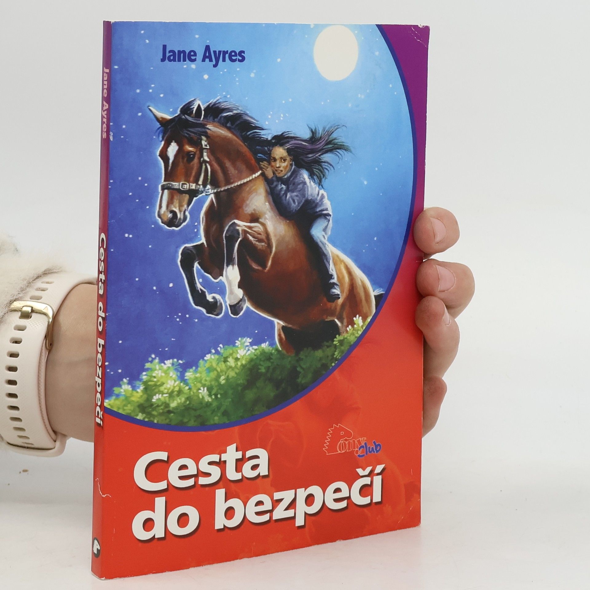 Jane Ayres Cesta do bezpečí