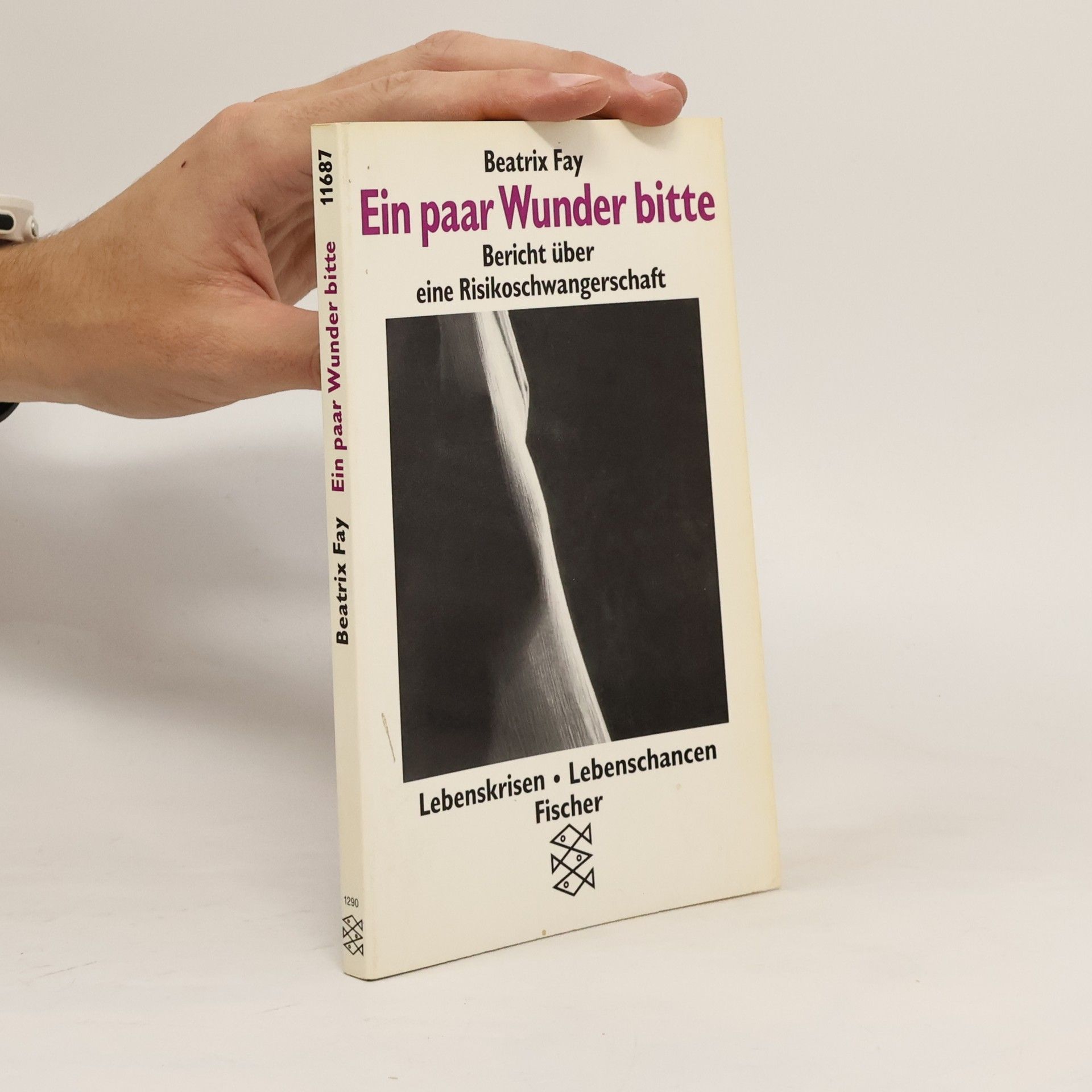 Beatrix Fay Ein paar Wunder bitte