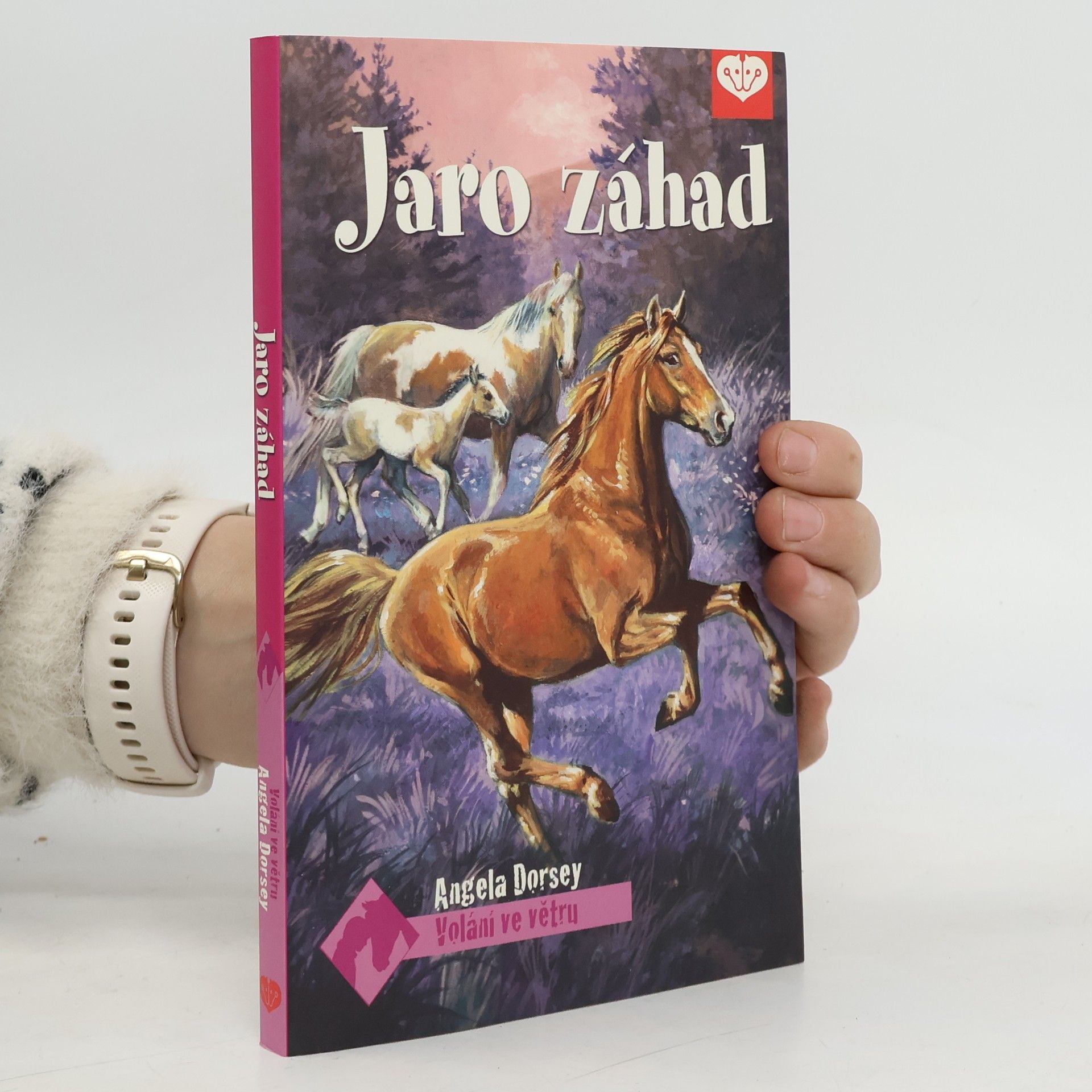 Angela Dorsey Jaro záhad