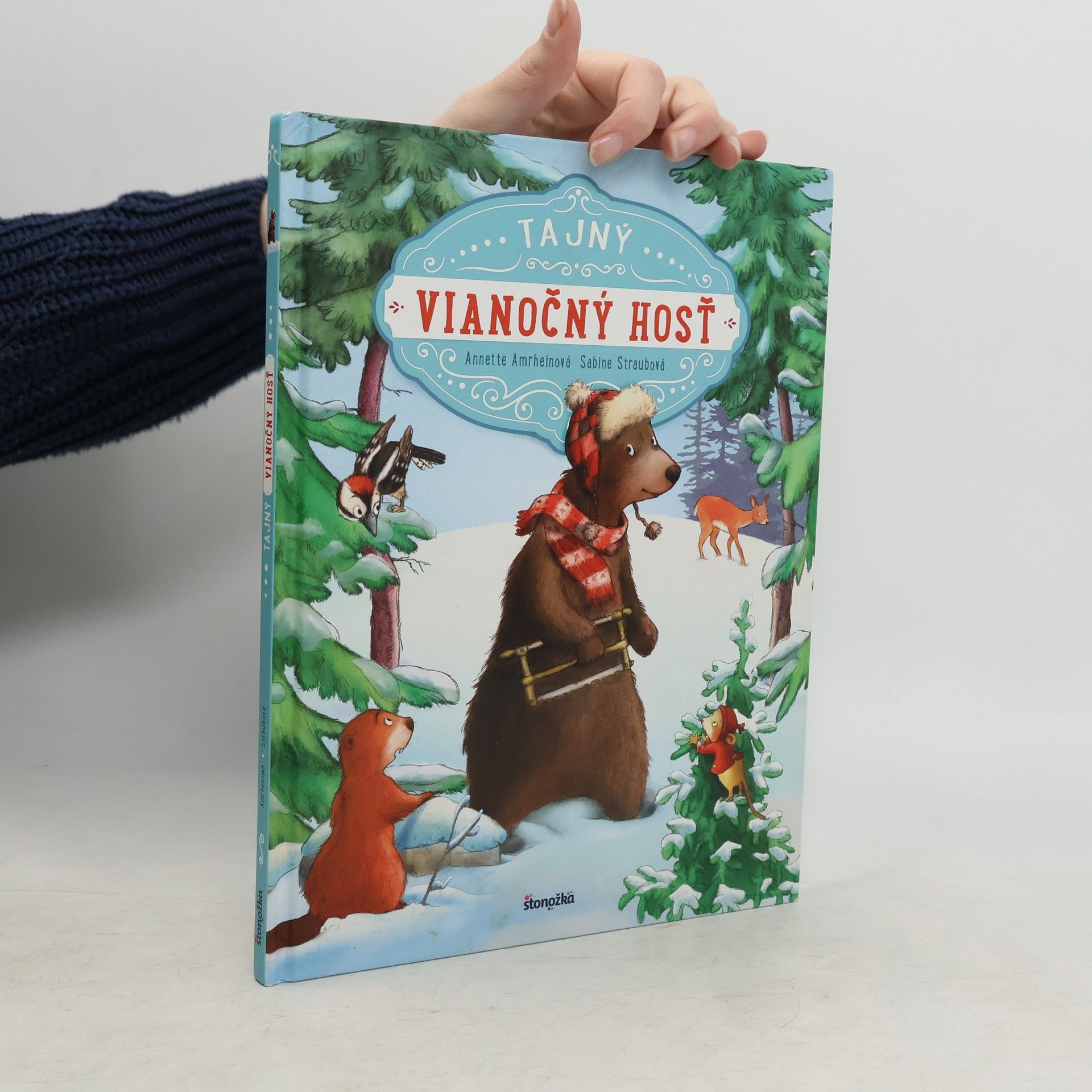 Annette Amrhein Tajný vianočný hosť