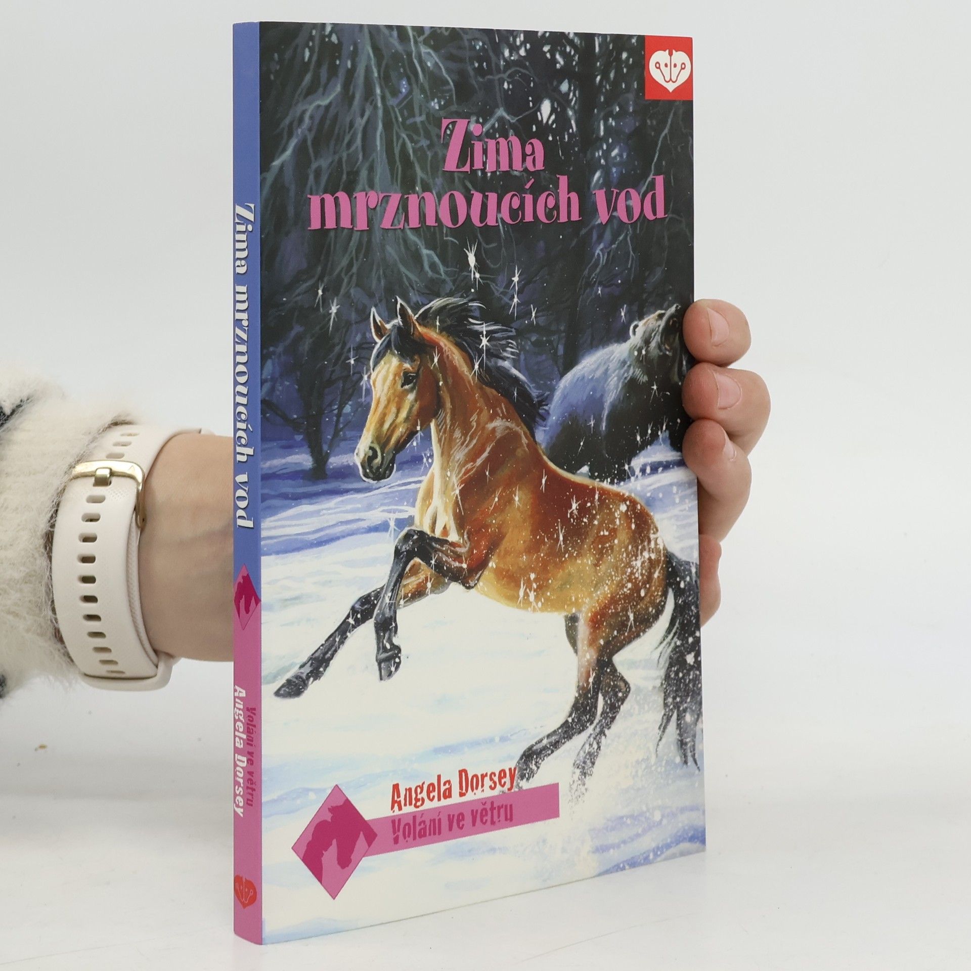 Angela Dorsey Volání ve větru. Díl 5. Zima mrznoucích vod