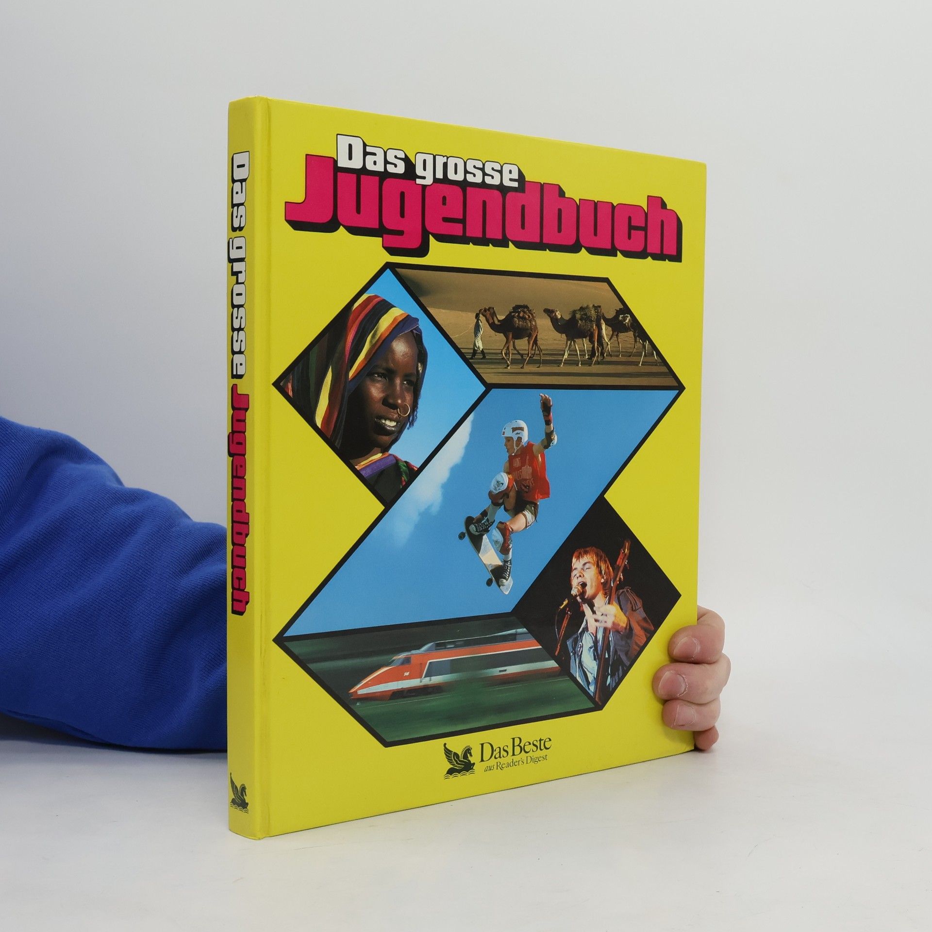 Kolektiv autorů Das grosse Jugendbuch, 29.folge