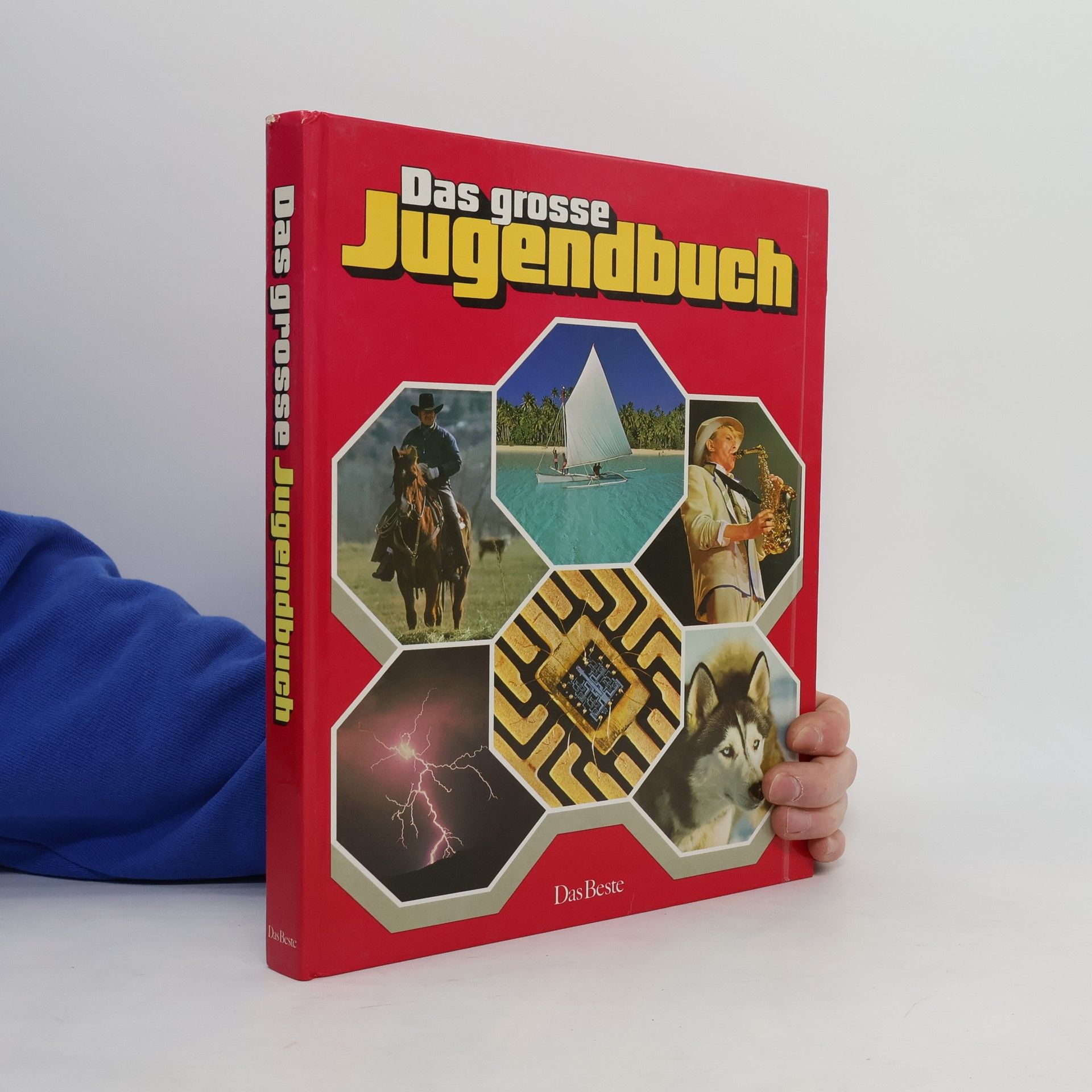 Collectif d'auteurs Das große Jugendbuch