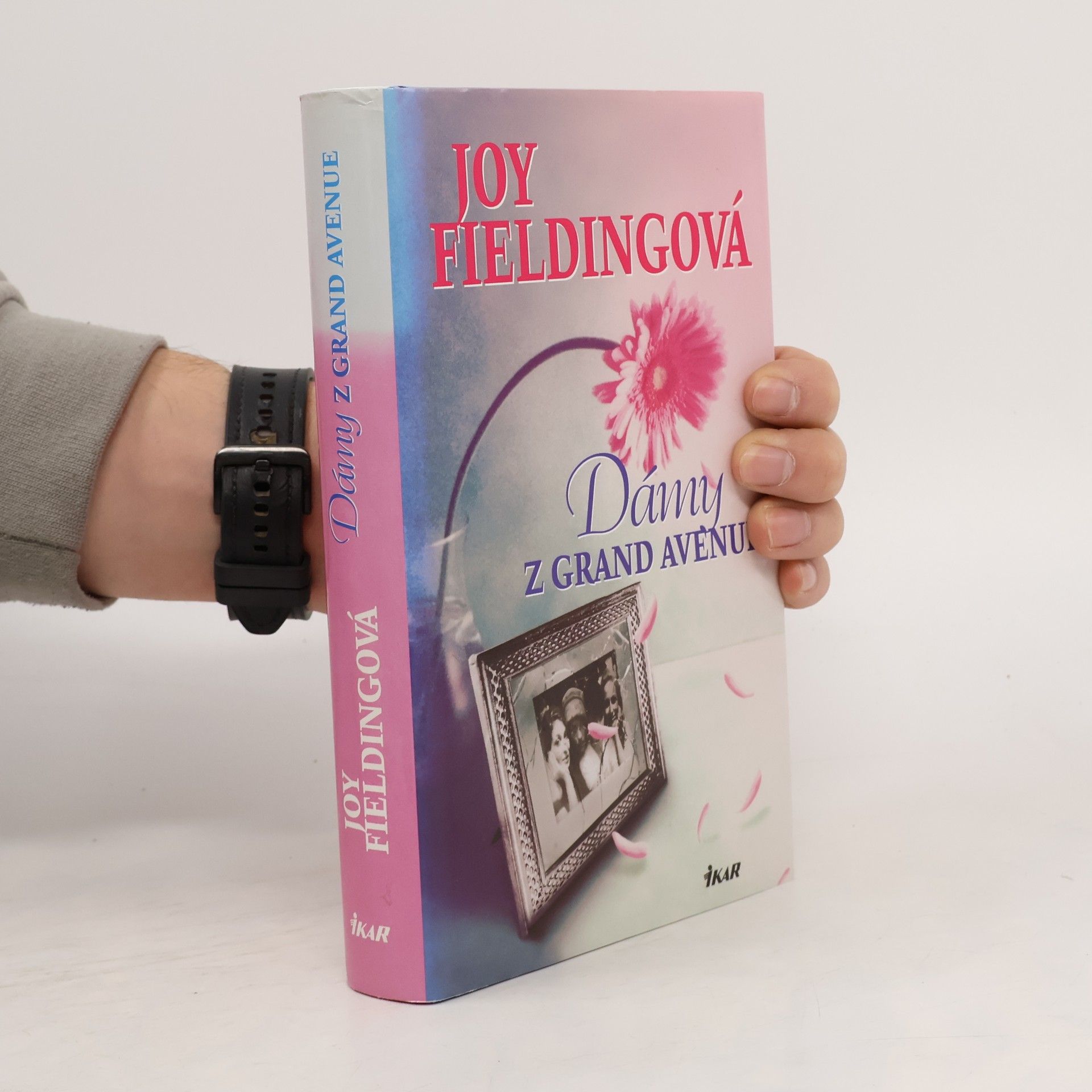 Joy Fielding Dámy z Grand Avenue