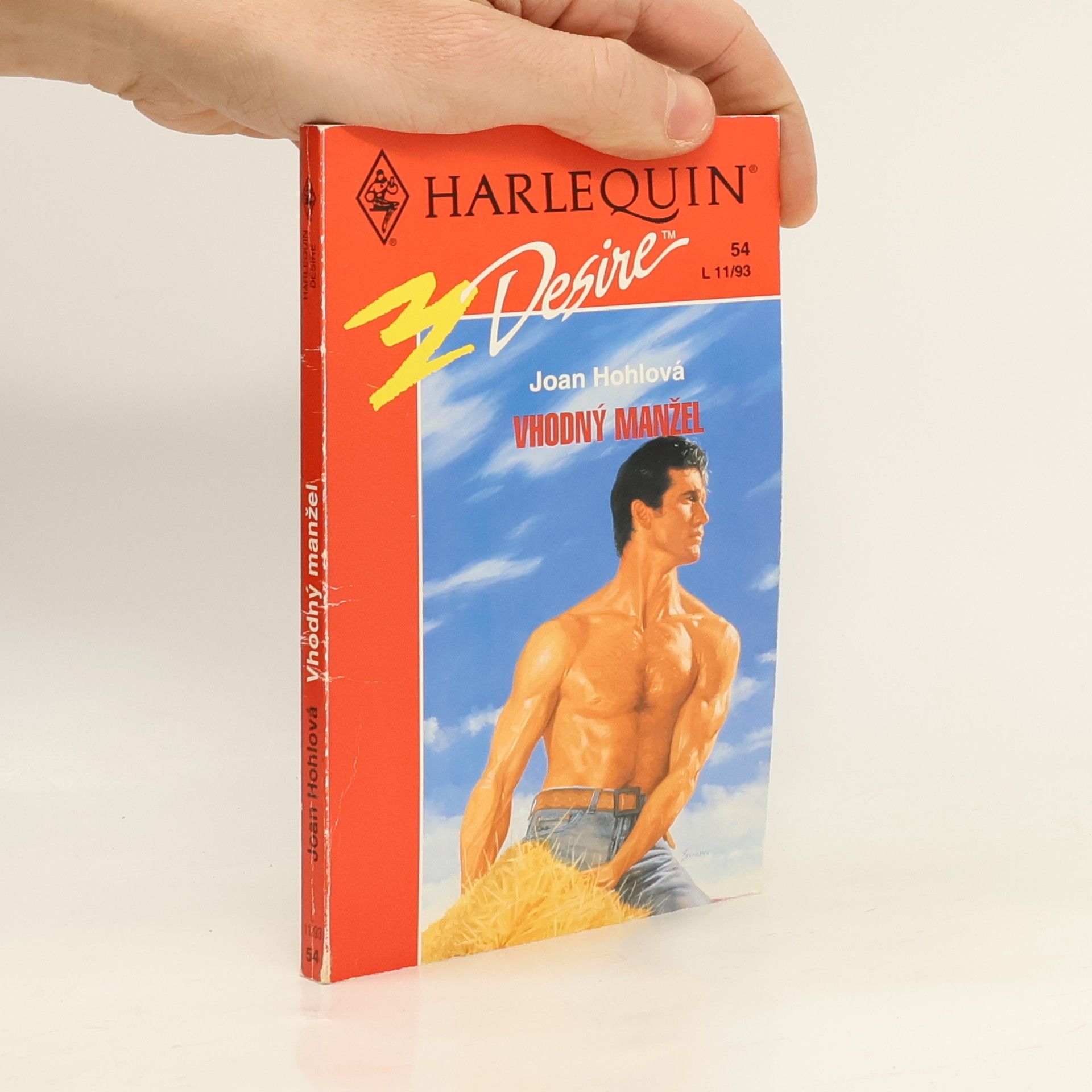 Joan Hohl Vhodný manžel