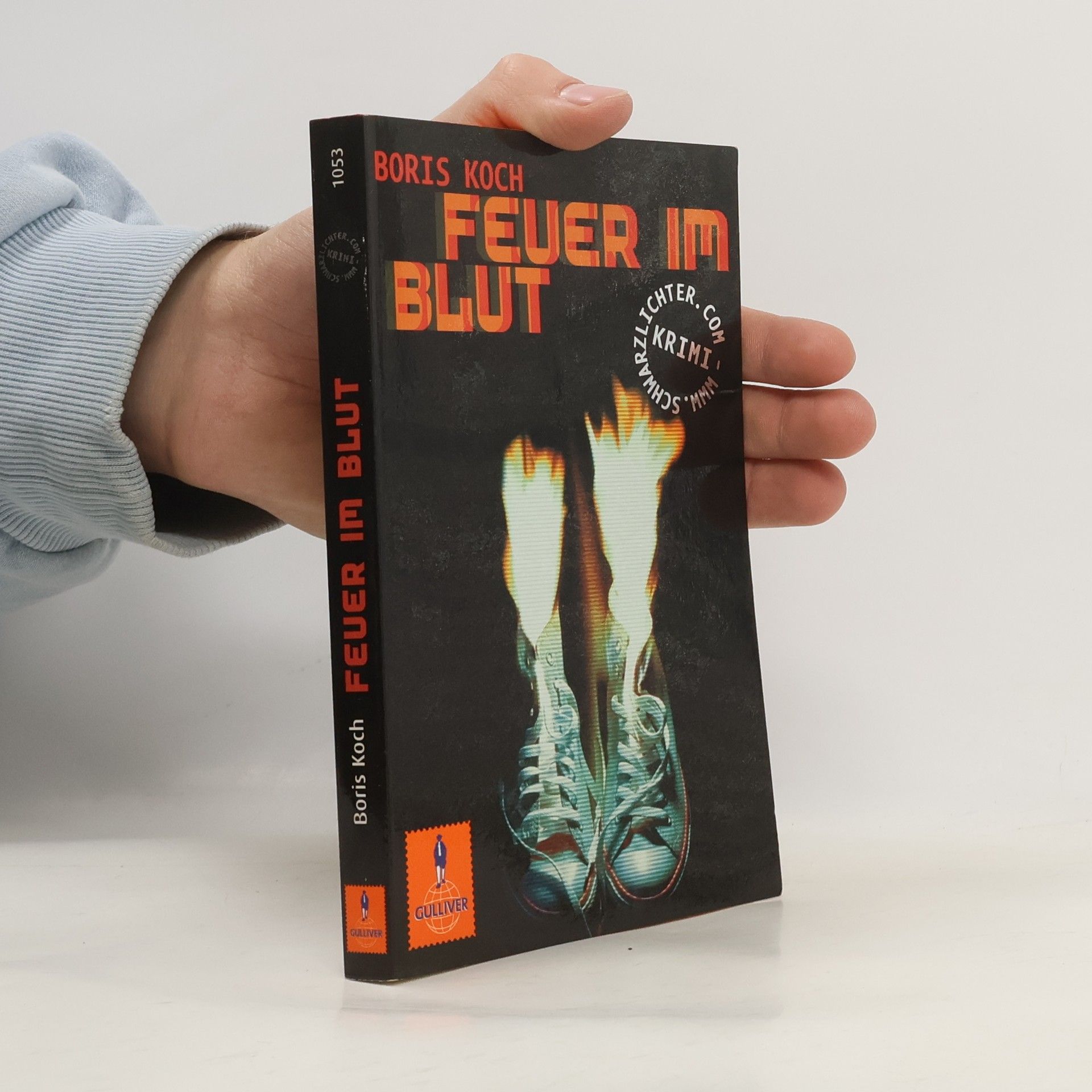 Boris Koch Feuer im Blut