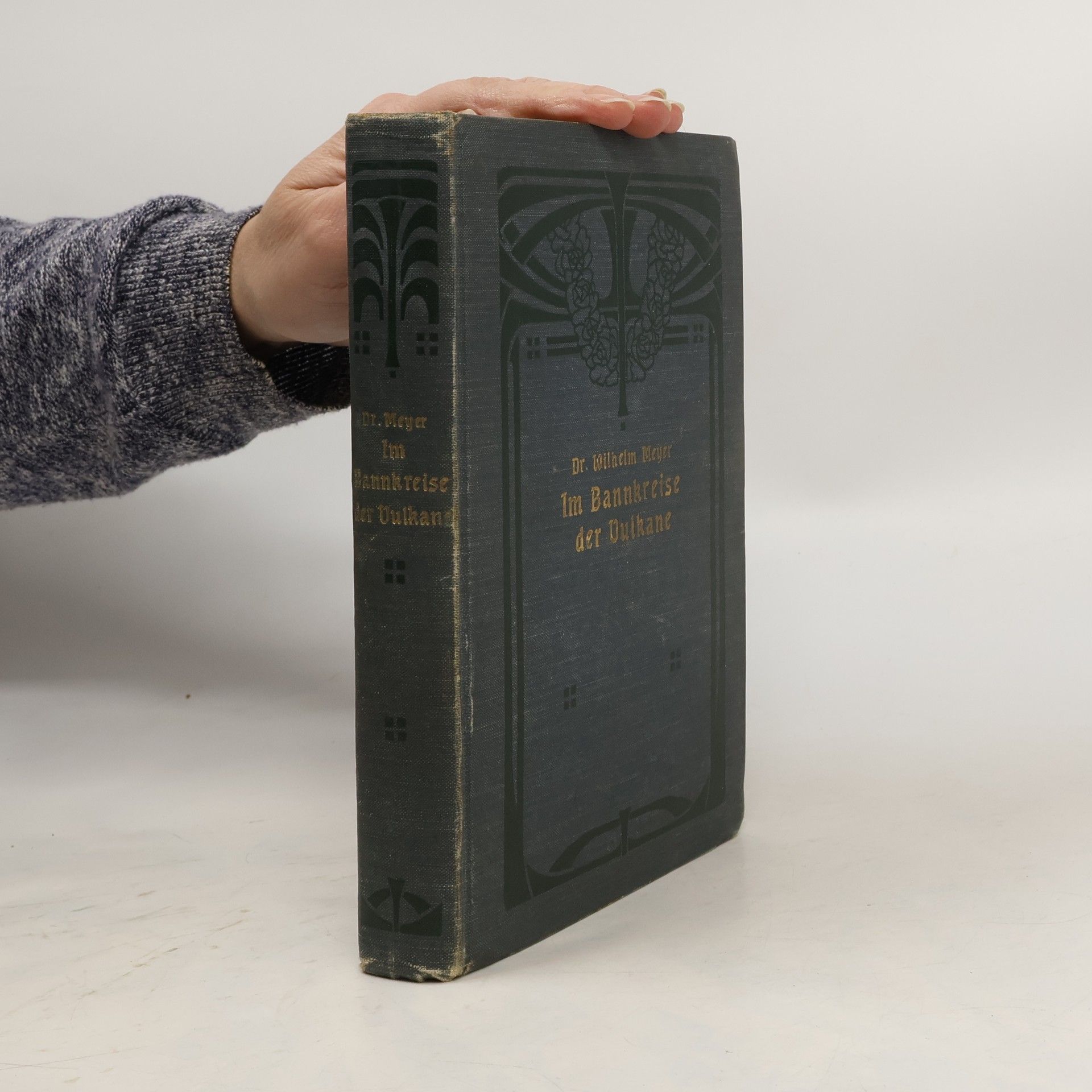 Im Bannkreise der Vulkane