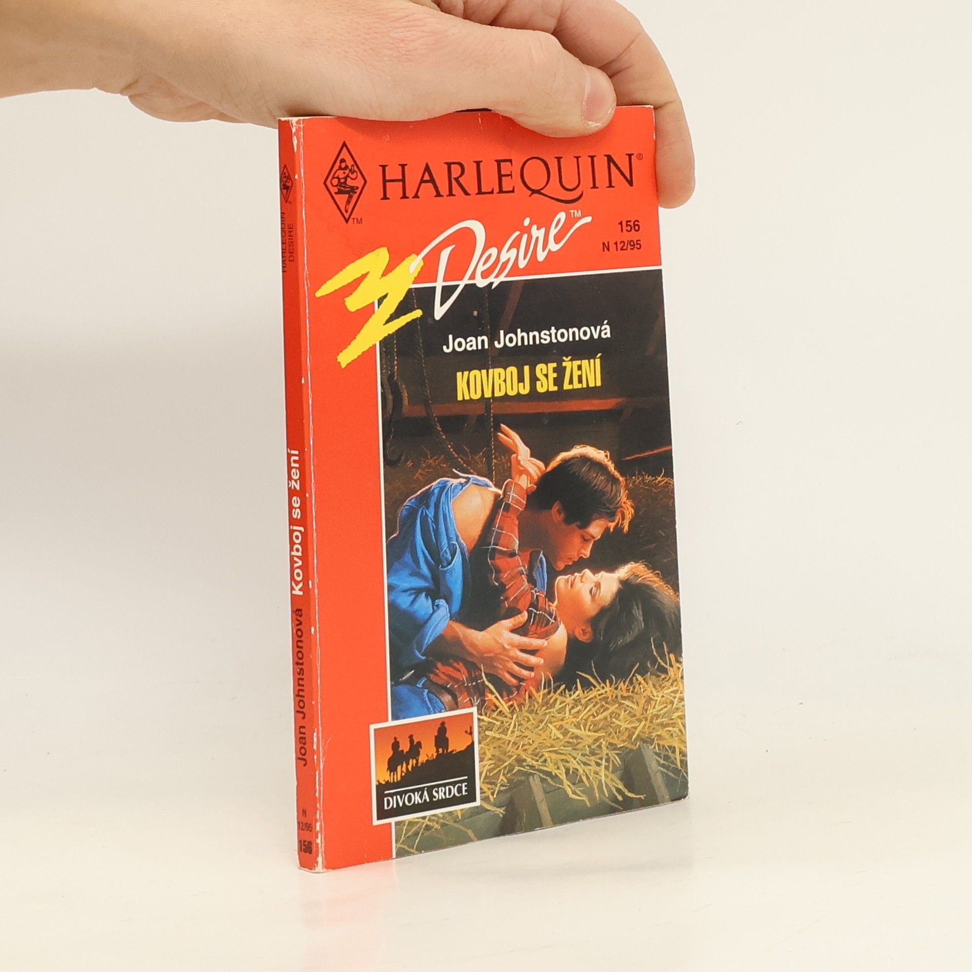 Joan Johnston Kovboj se žení