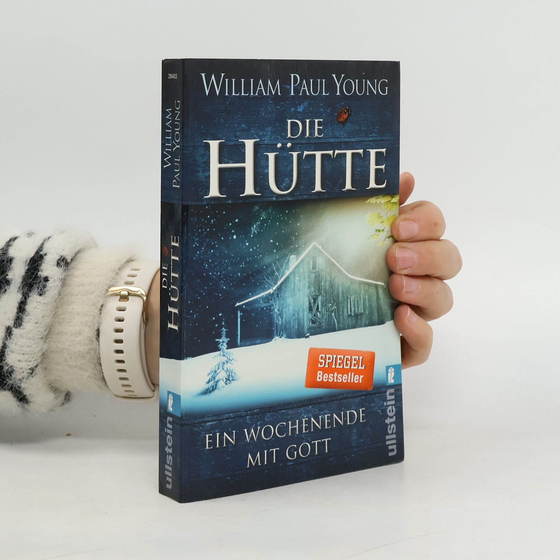 William P. Young Die Hütte